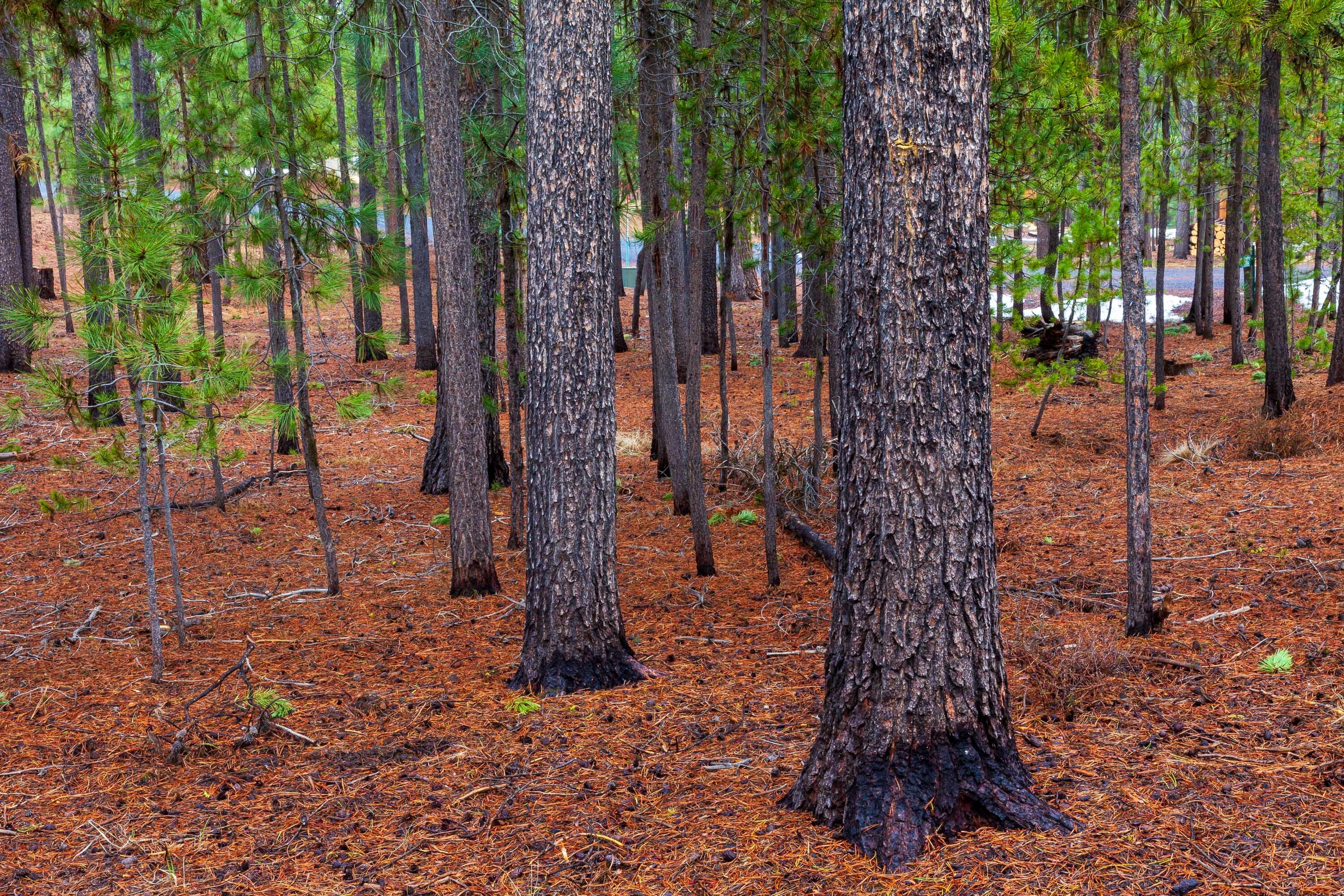 Fall River Estate - Land