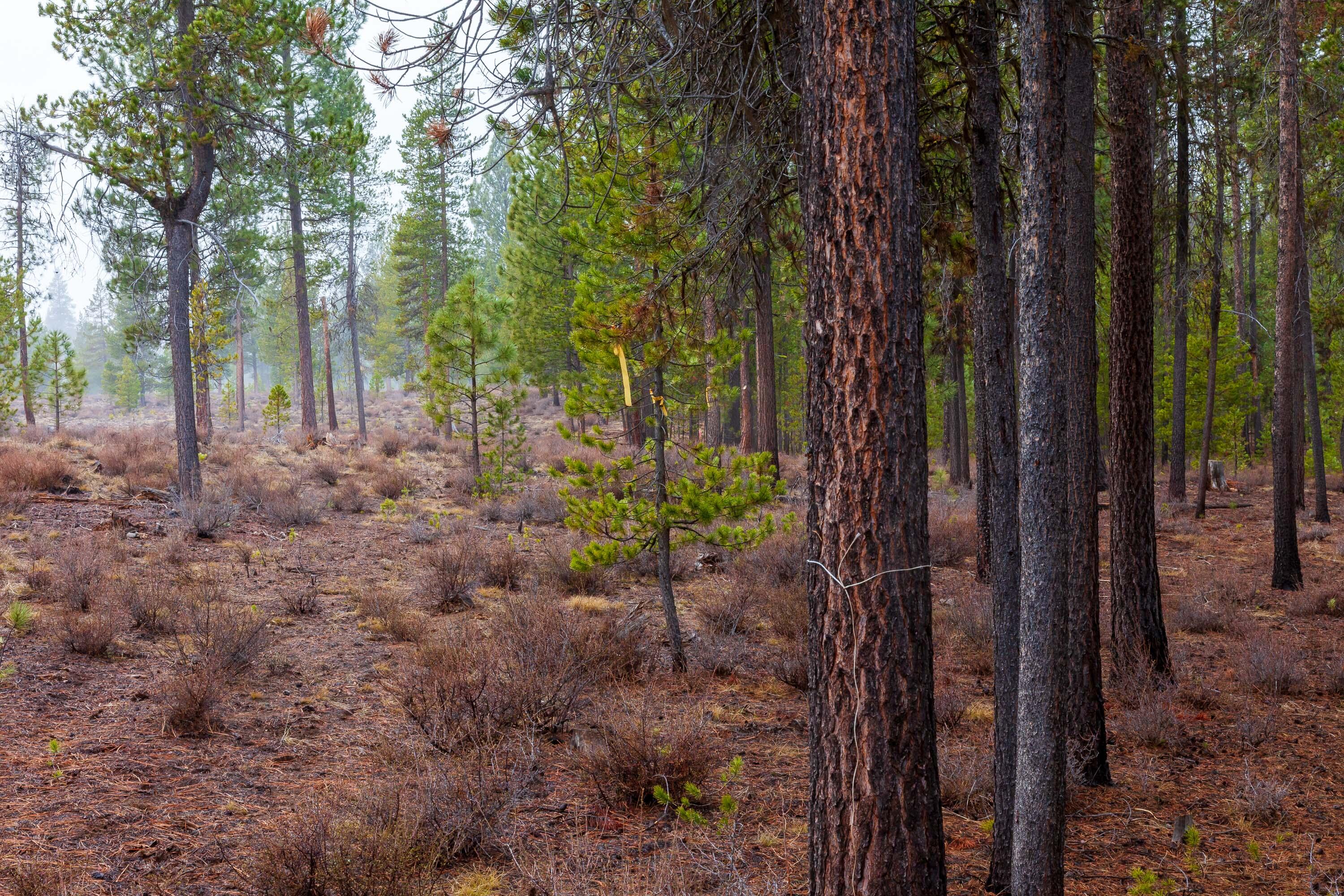 Fall River Estate - Land