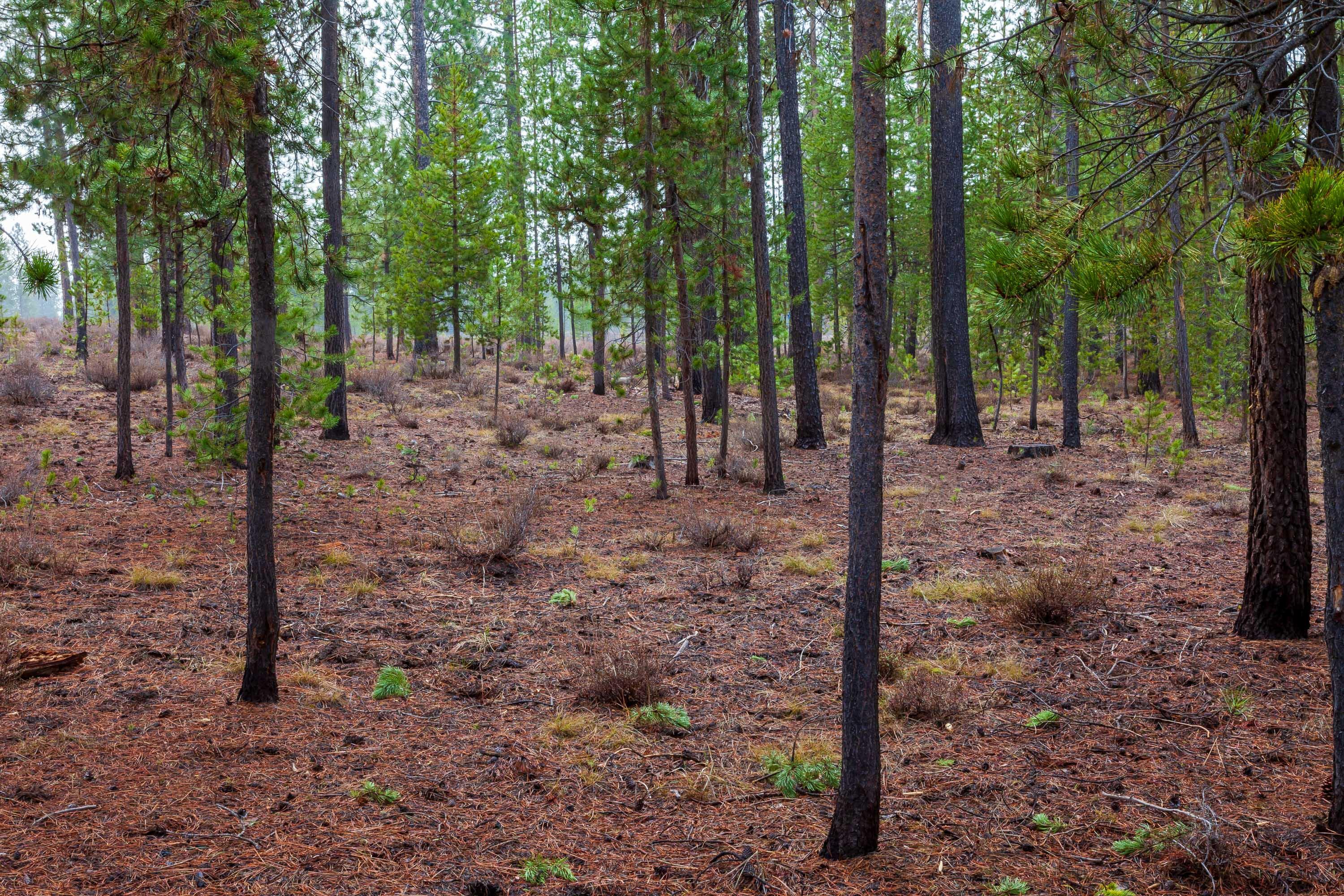 Fall River Estate - Land