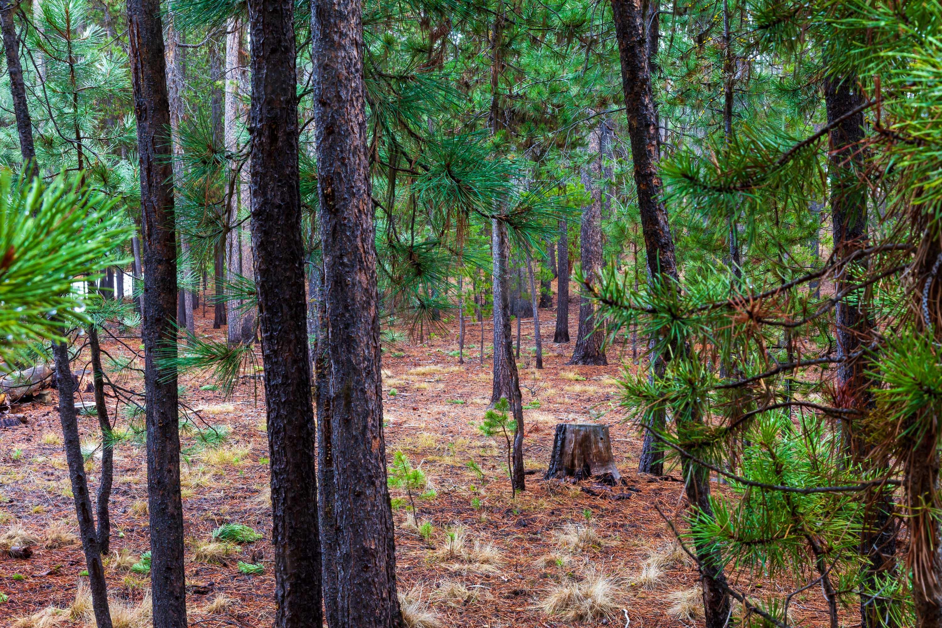 Fall River Estate - Land