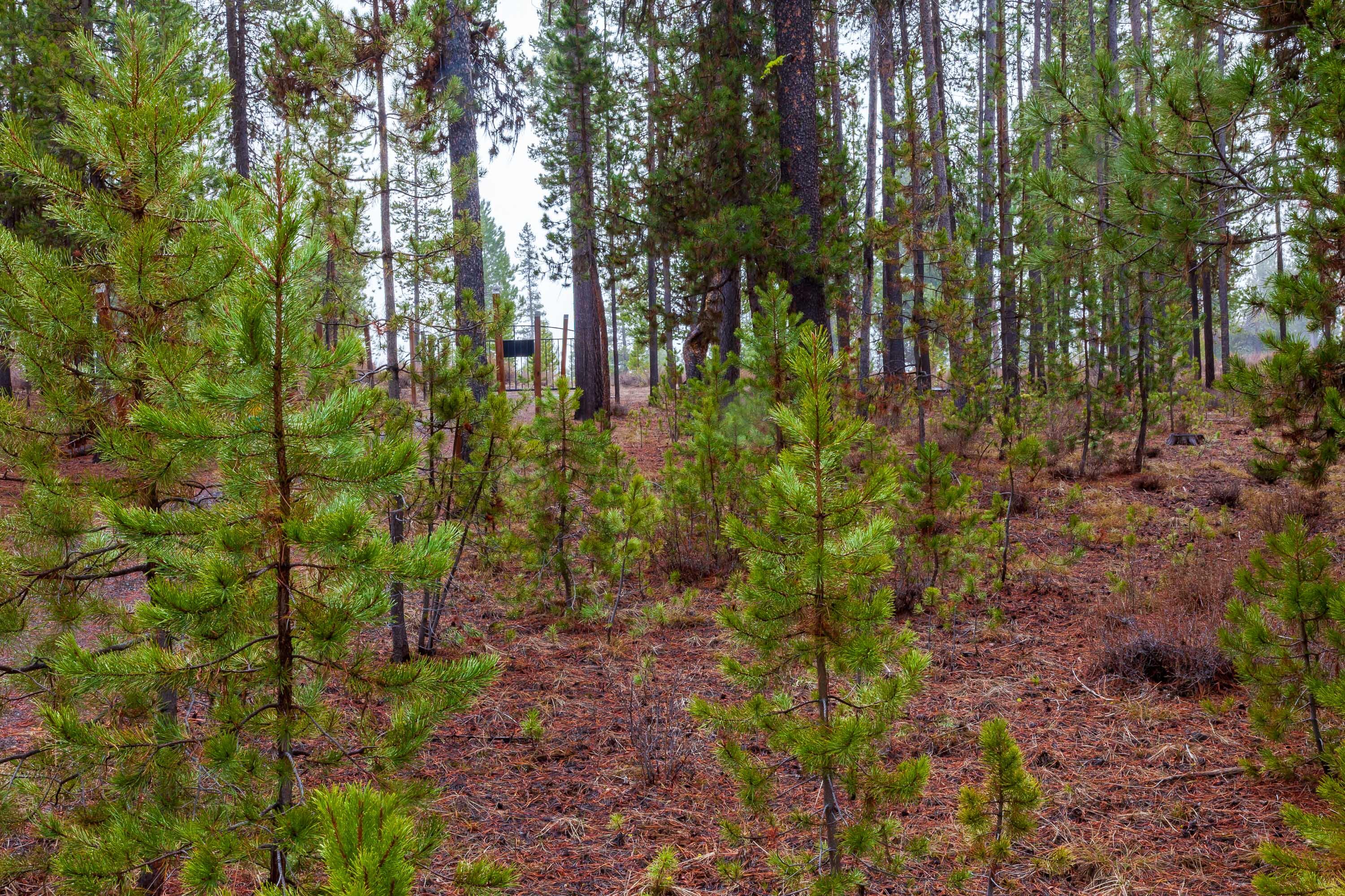 Fall River Estate - Land