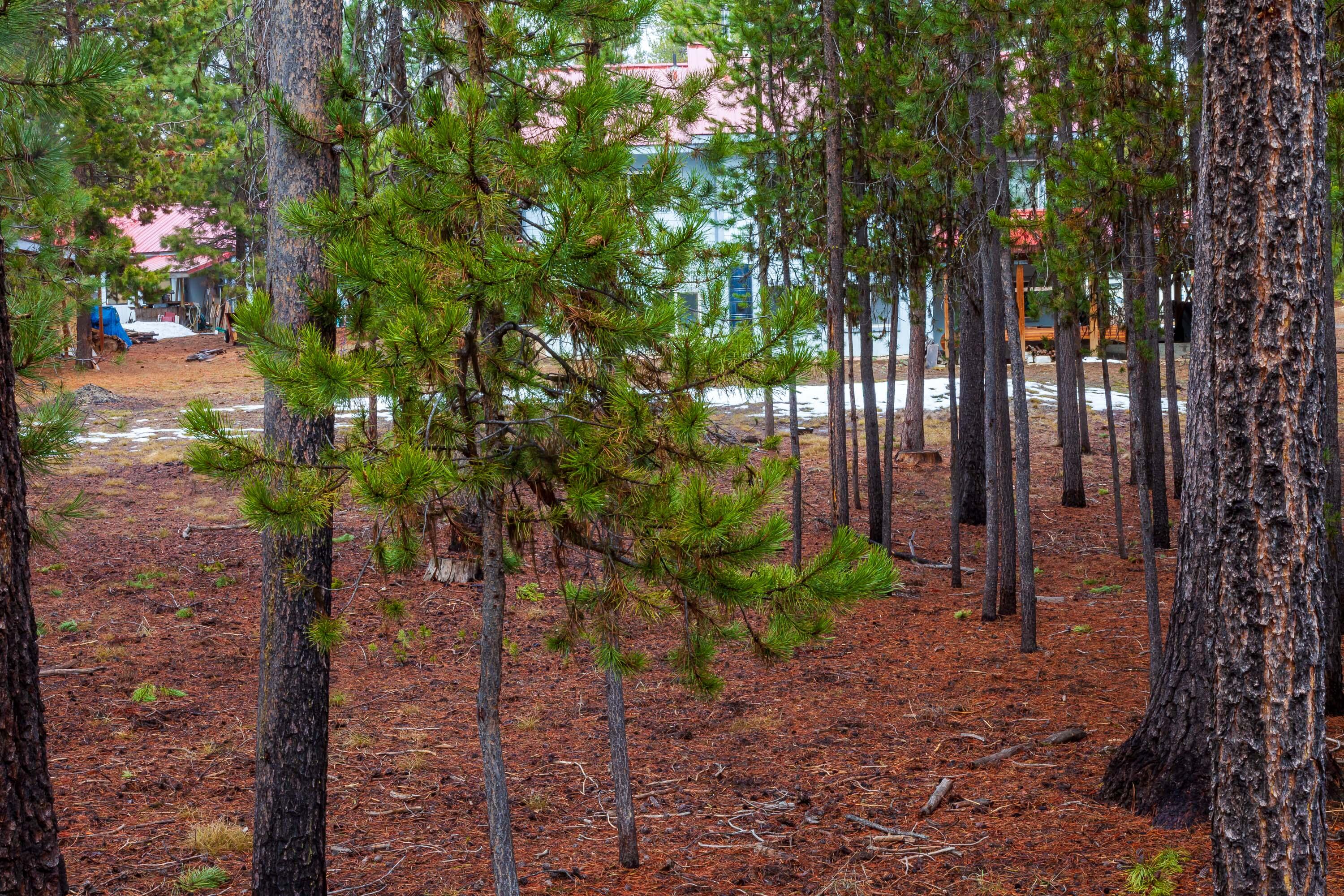 Fall River Estate - Land