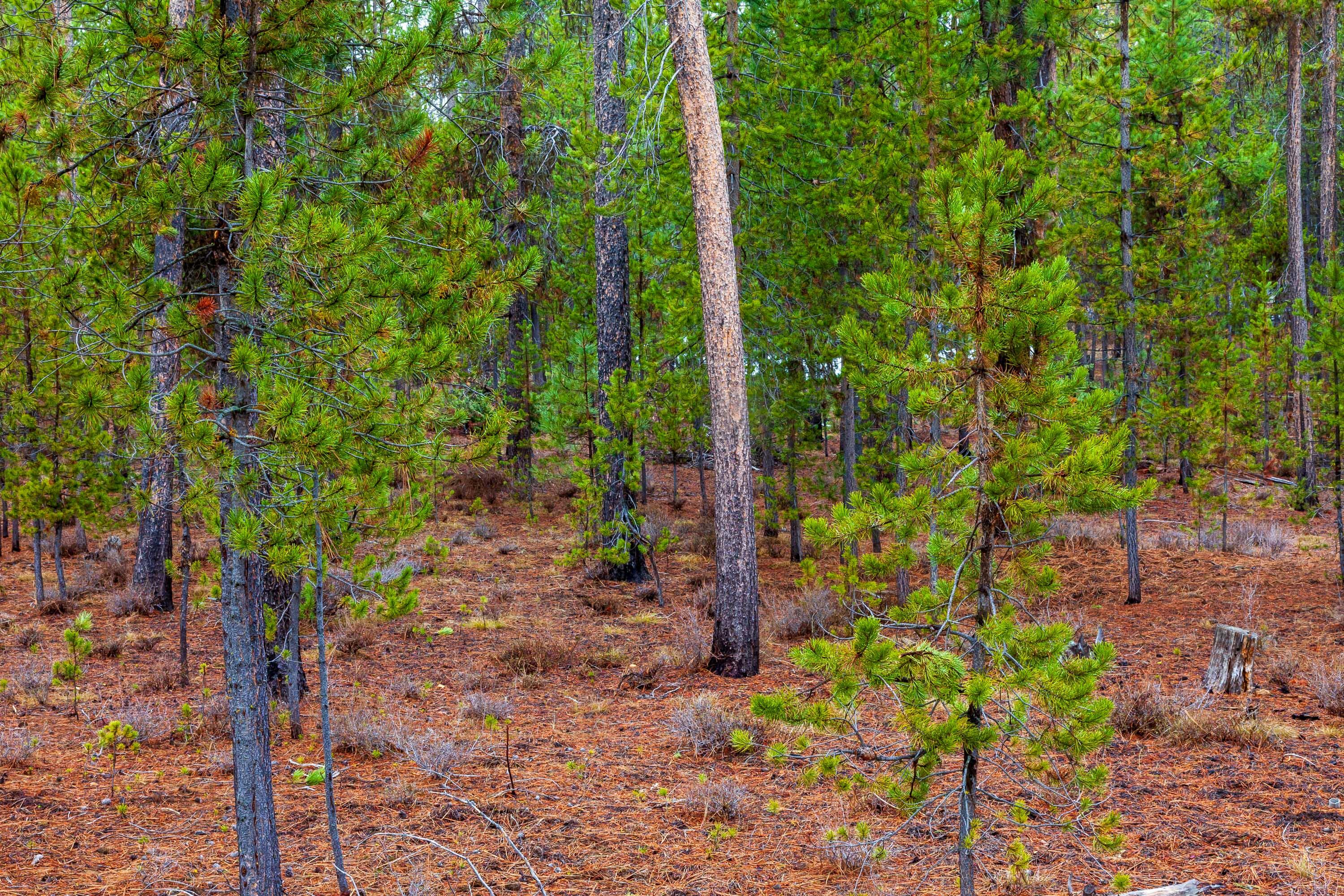 Fall River Estate - Land