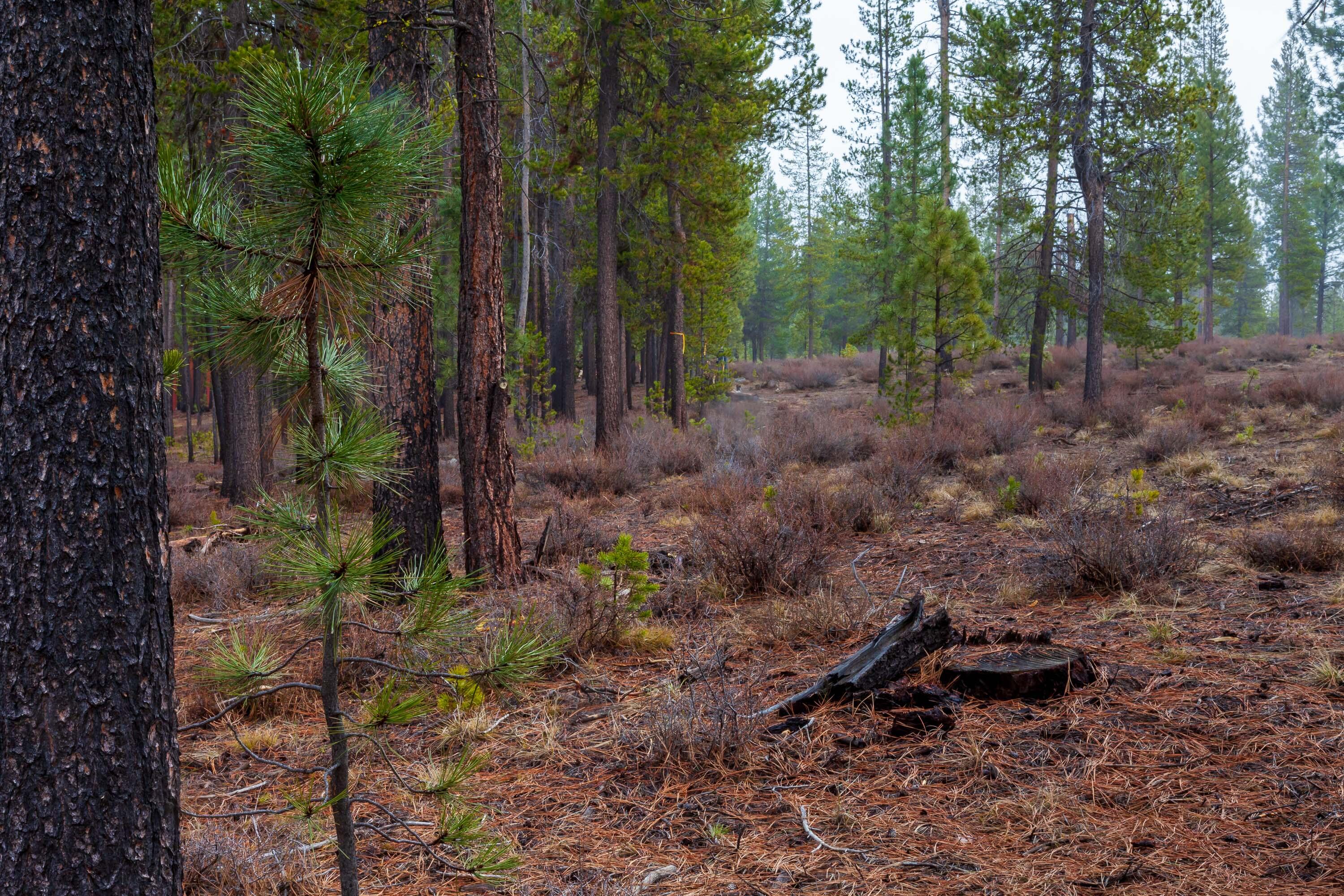 Fall River Estate - Land