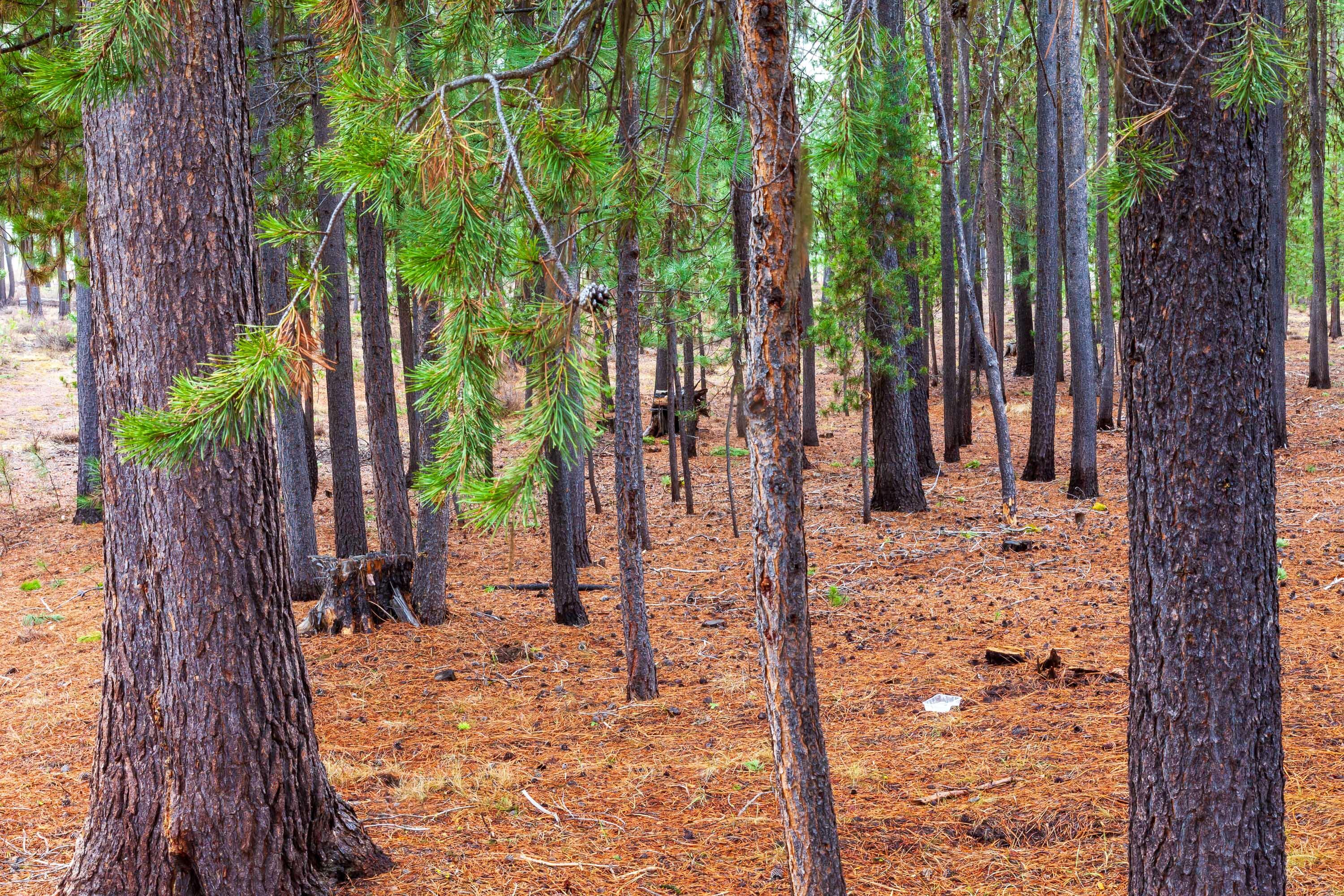 Fall River Estate - Land