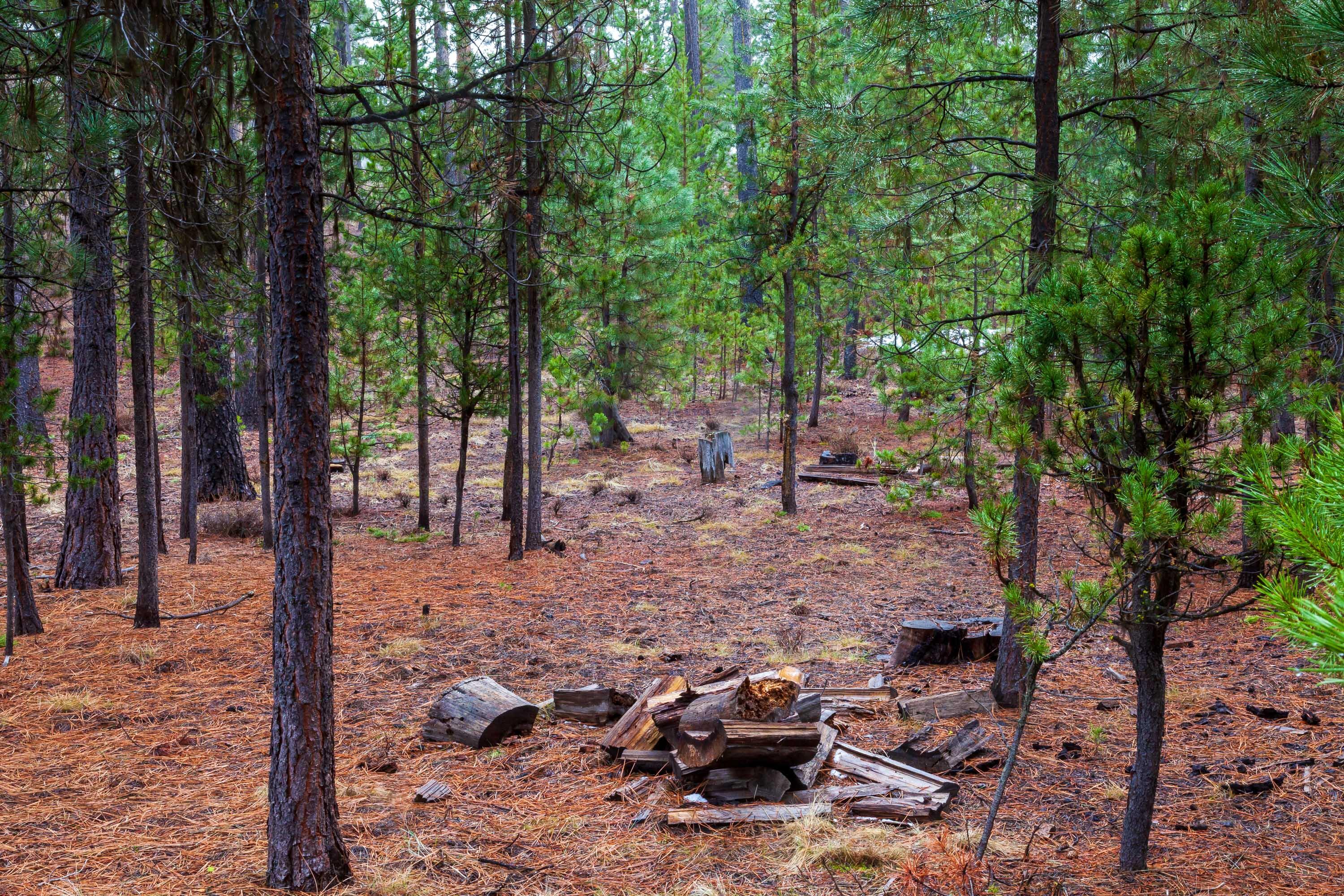 Fall River Estate - Land