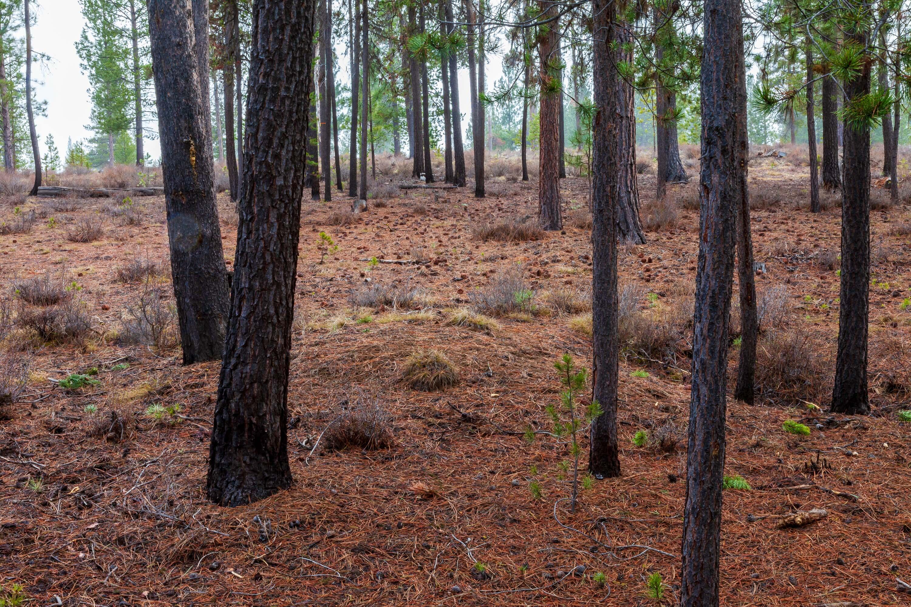 Fall River Estate - Land