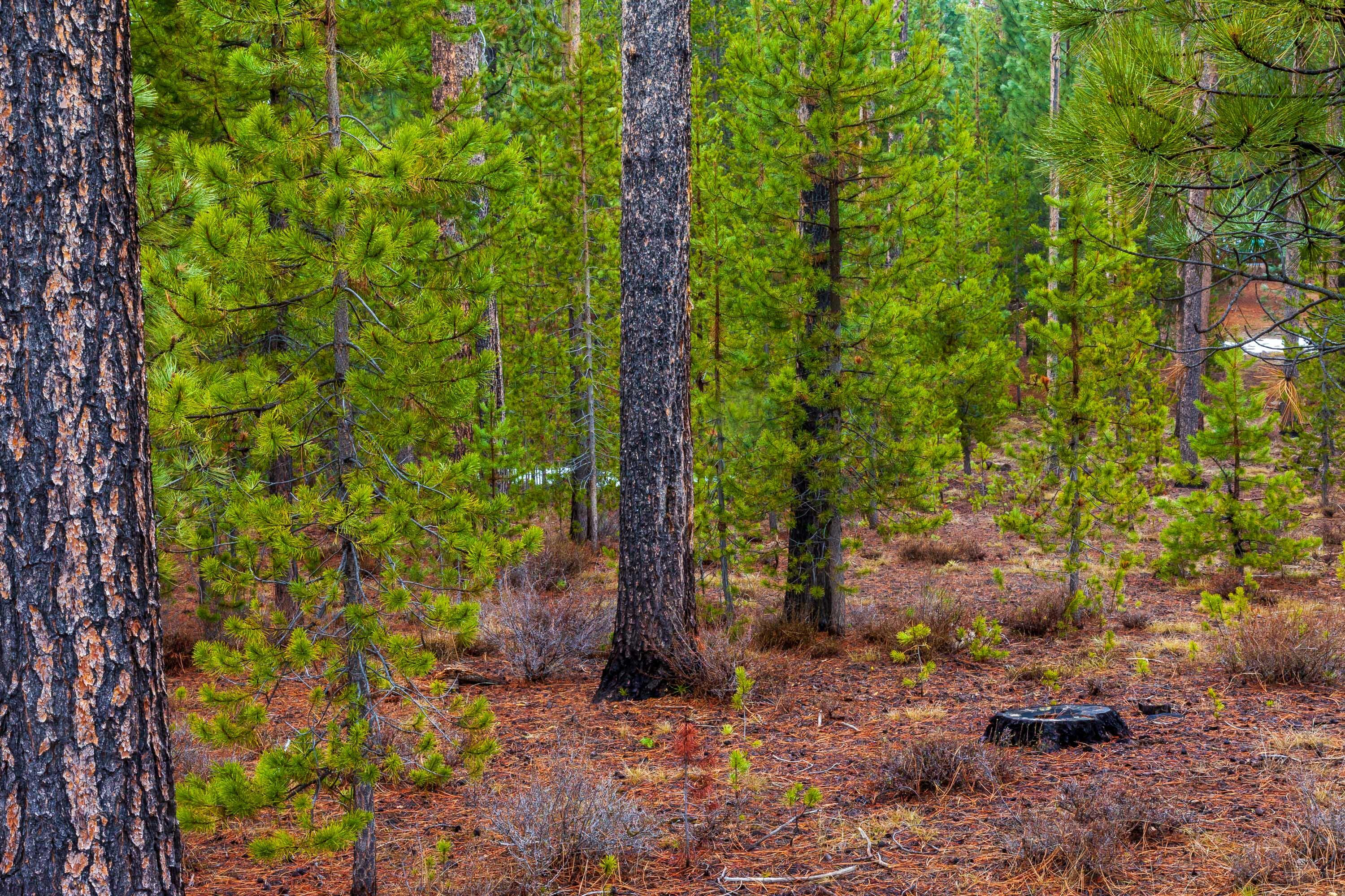 Fall River Estate - Land