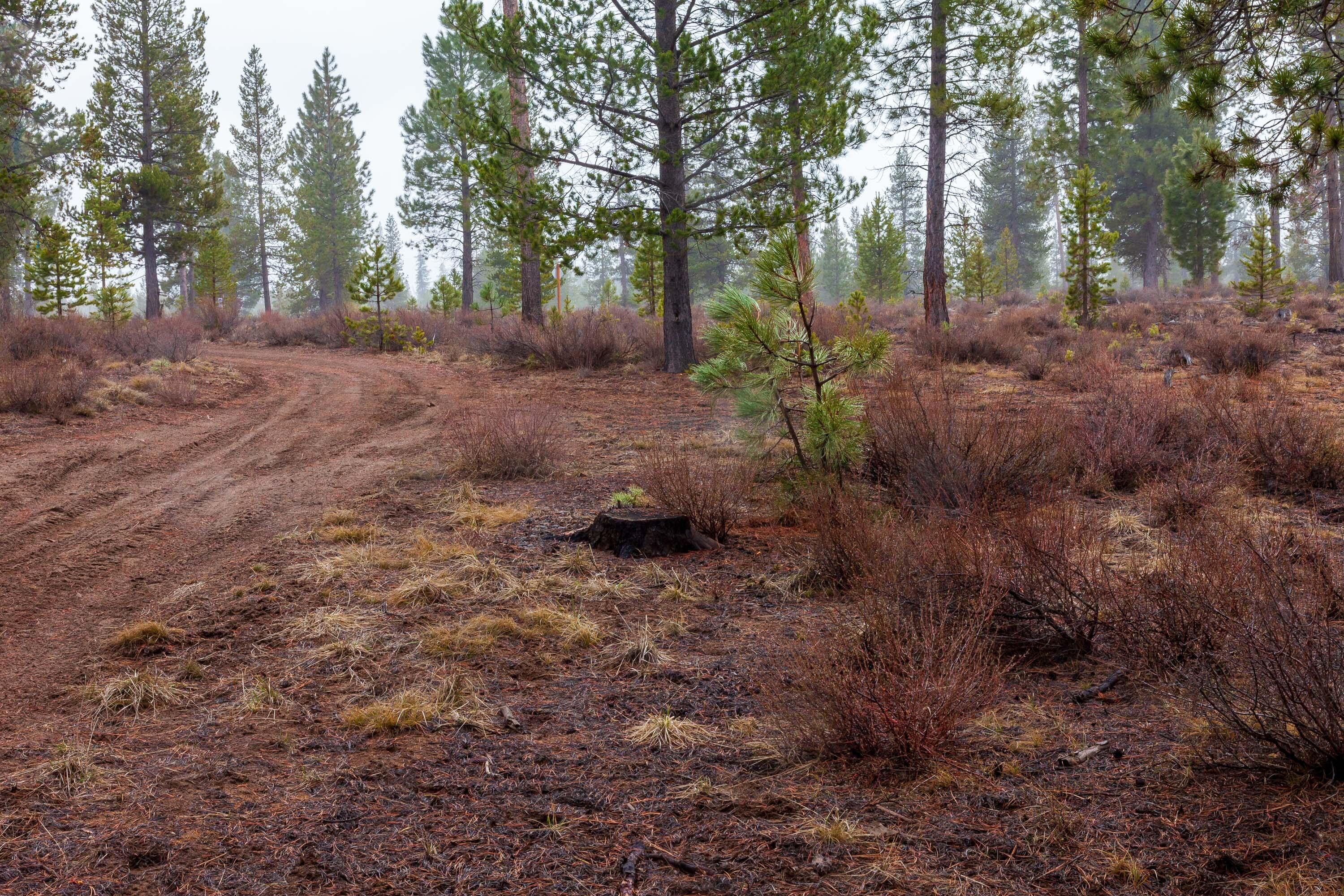 Fall River Estate - Land