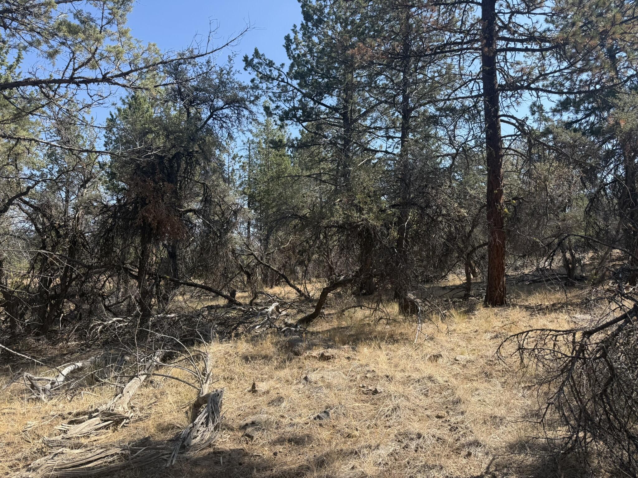Klamath Falls Forest Estates -Hwy 66 Unit -Plat No. 2 - Land