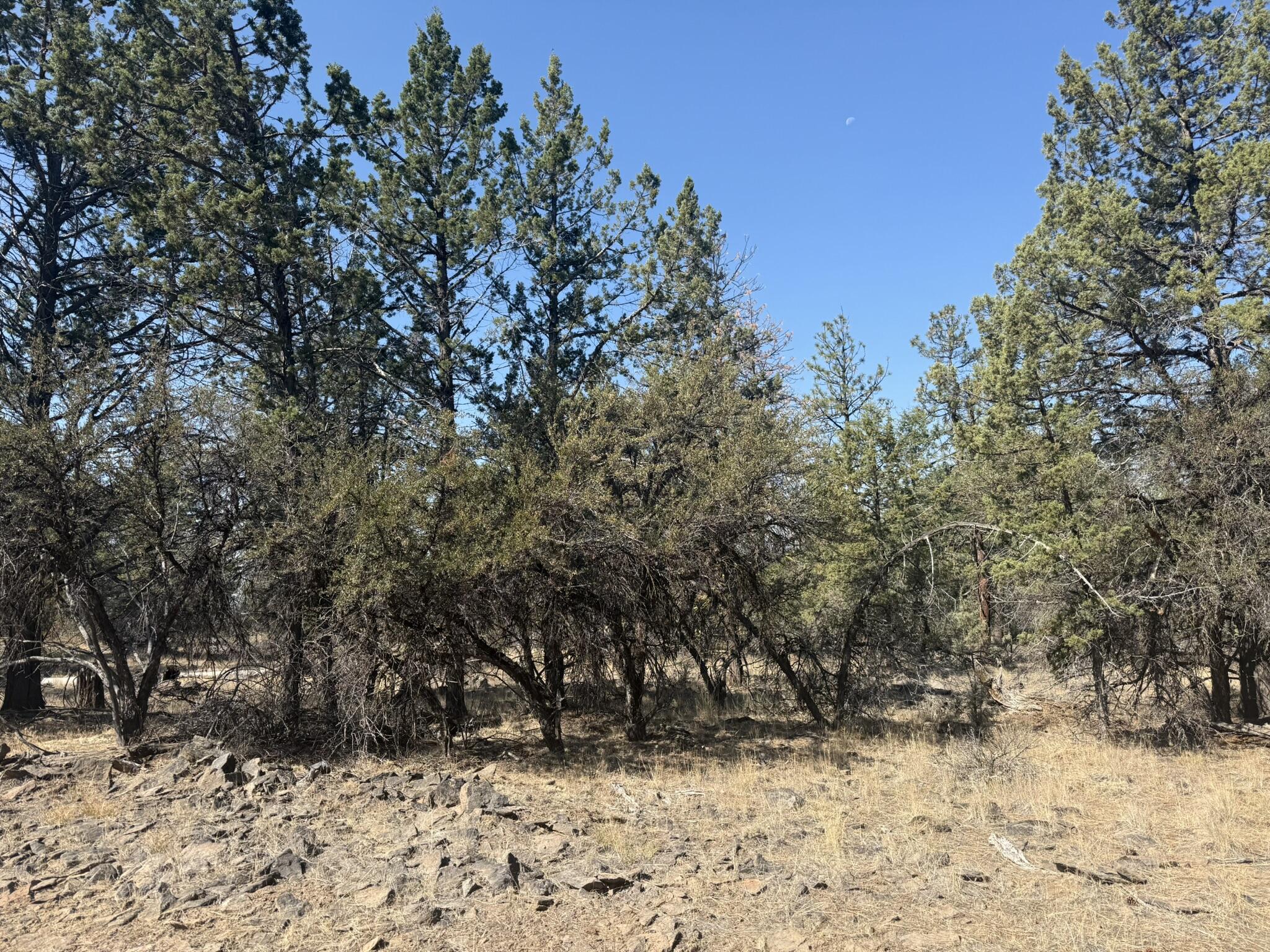Klamath Falls Forest Estates -Hwy 66 Unit -Plat No. 2 - Land