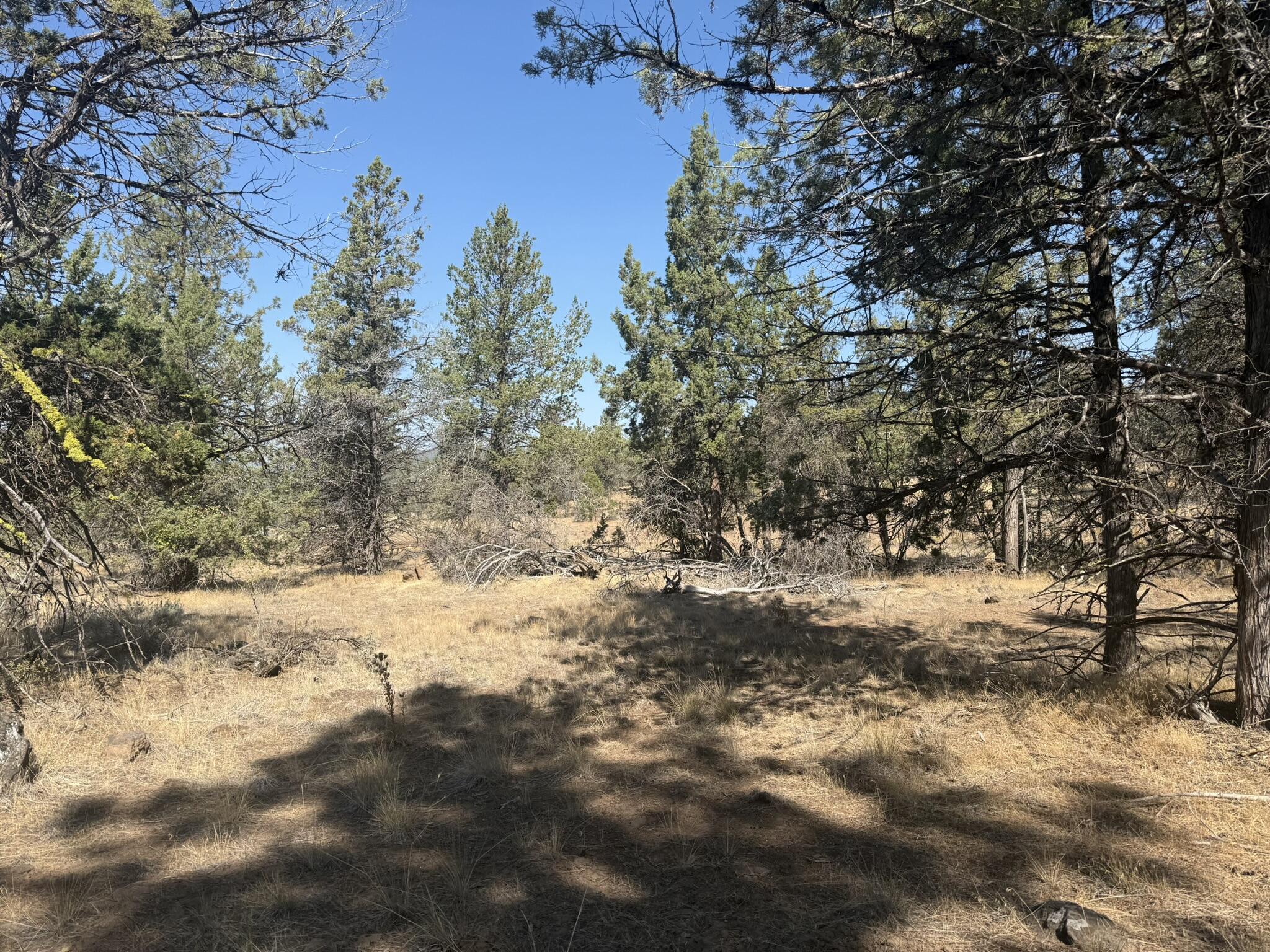 Klamath Falls Forest Estates -Hwy 66 Unit -Plat No. 2 - Land