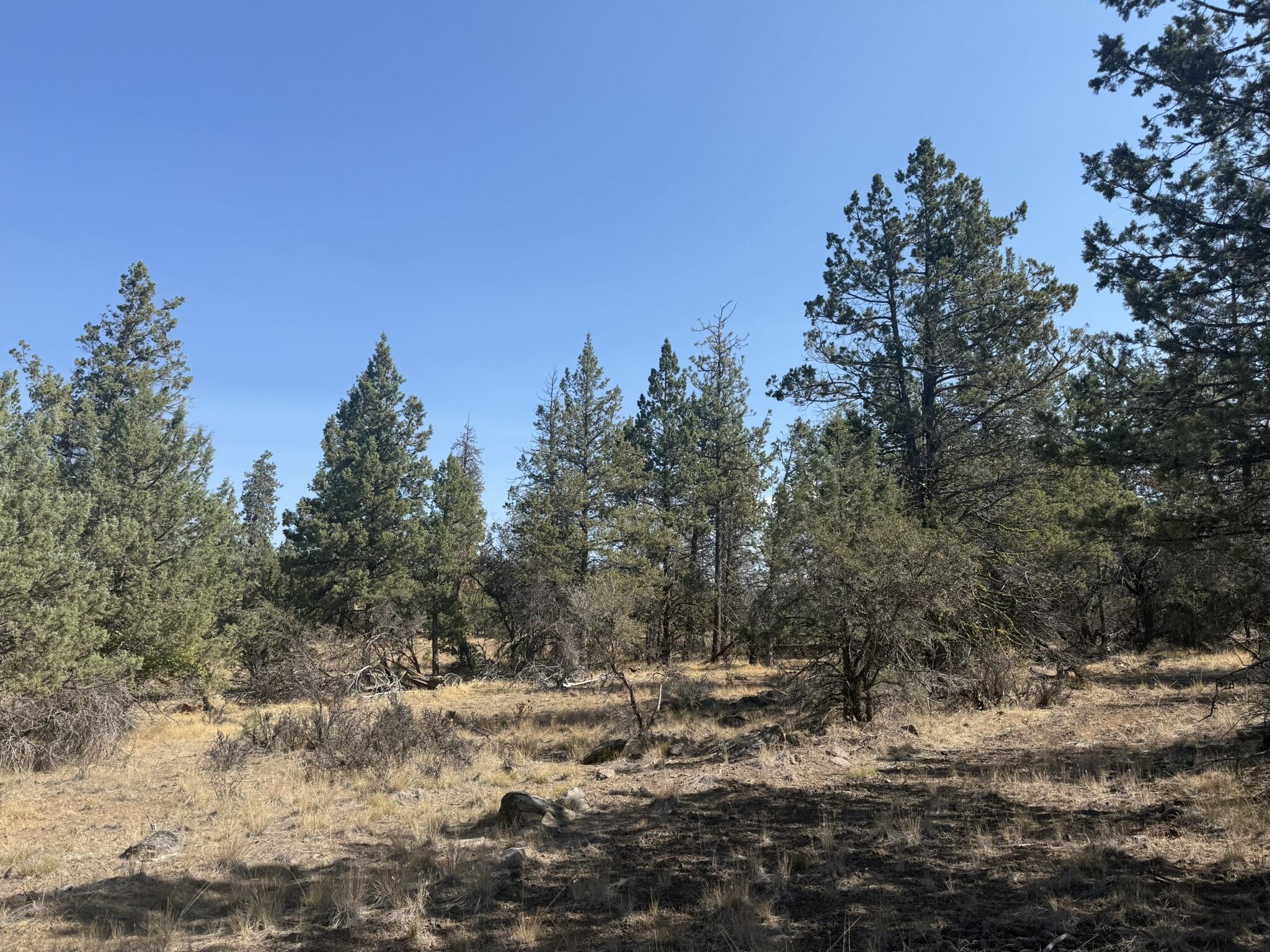 Klamath Falls Forest Estates -Hwy 66 Unit -Plat No. 2 - Land
