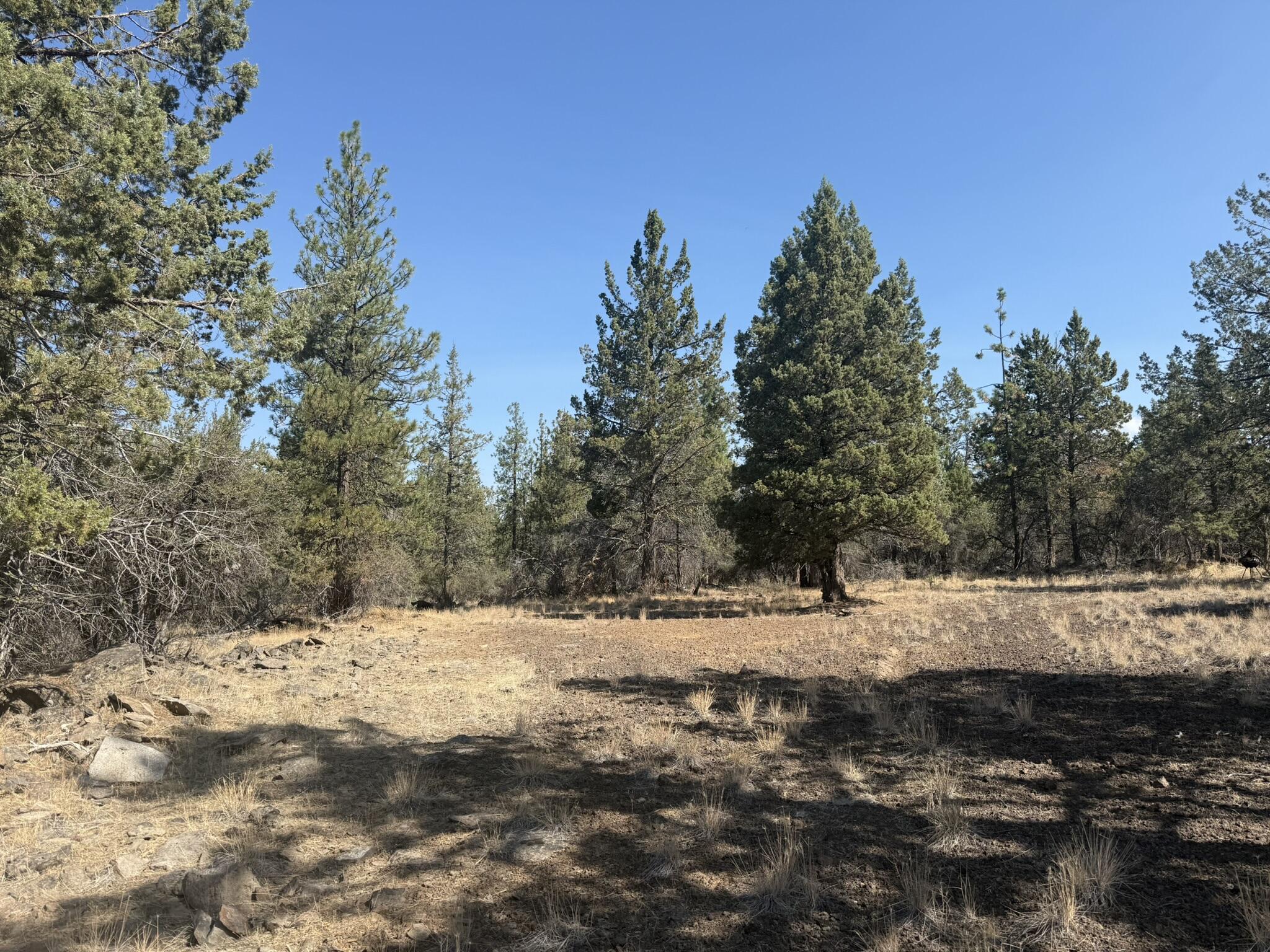 Klamath Falls Forest Estates -Hwy 66 Unit -Plat No. 2 - Land