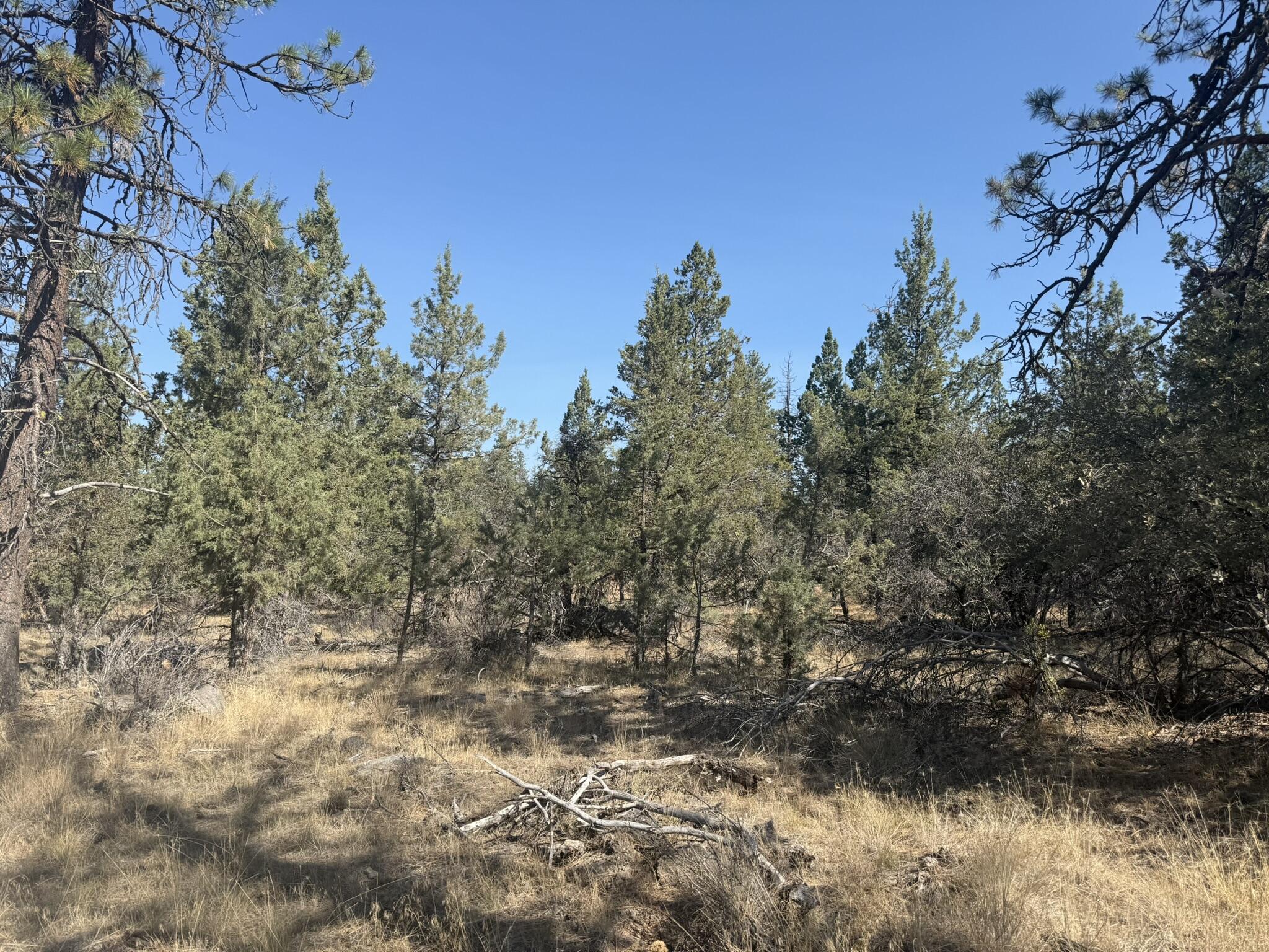 Klamath Falls Forest Estates -Hwy 66 Unit -Plat No. 2 - Land
