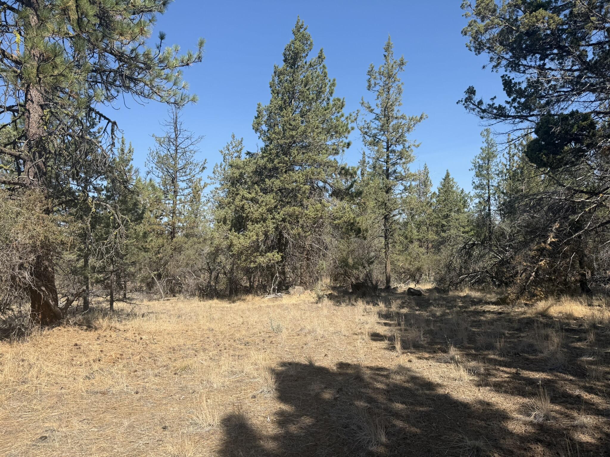 Klamath Falls Forest Estates -Hwy 66 Unit -Plat No. 2 - Land