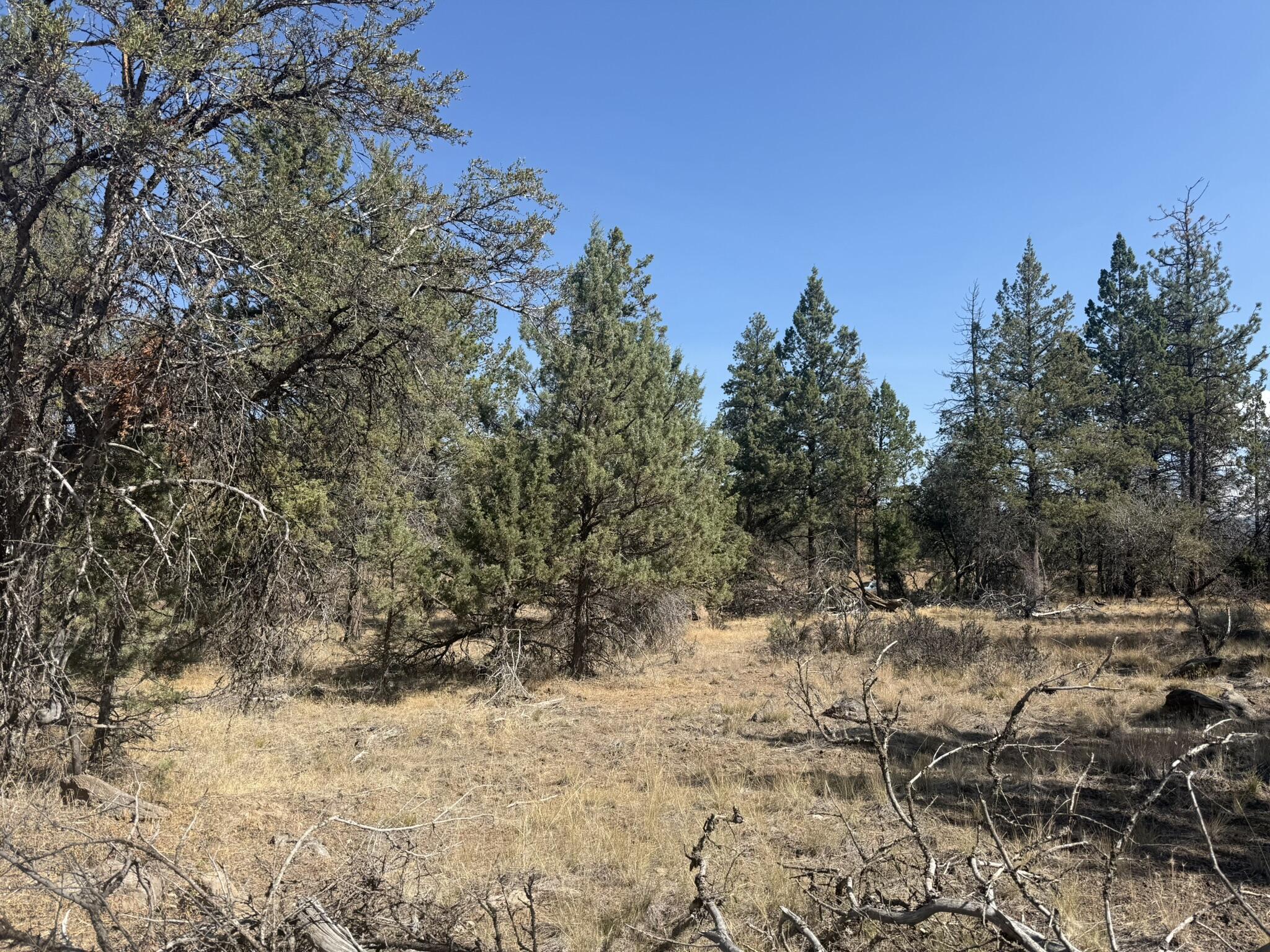 Klamath Falls Forest Estates -Hwy 66 Unit -Plat No. 2 - Land