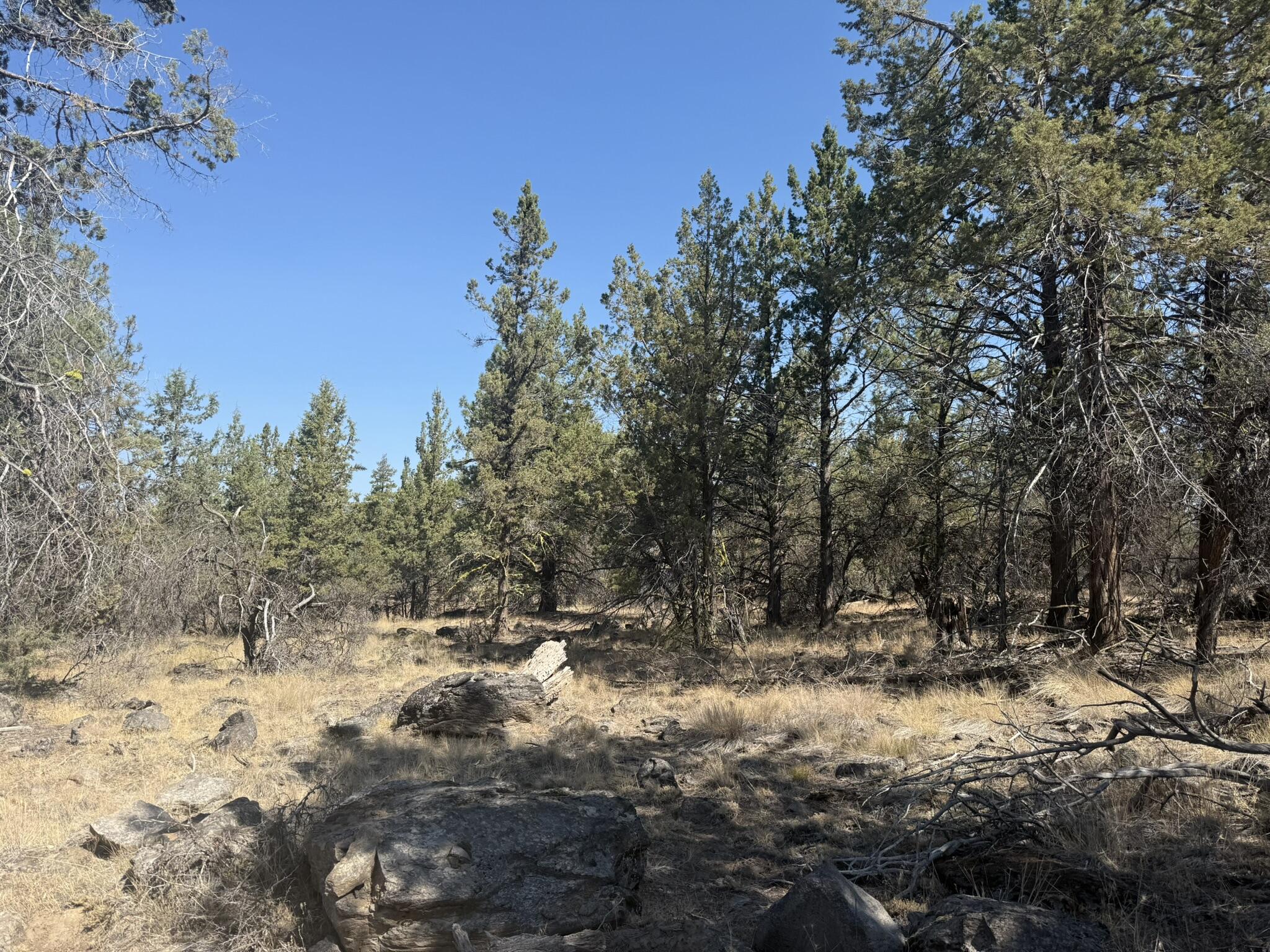 Klamath Falls Forest Estates -Hwy 66 Unit -Plat No. 2 - Land