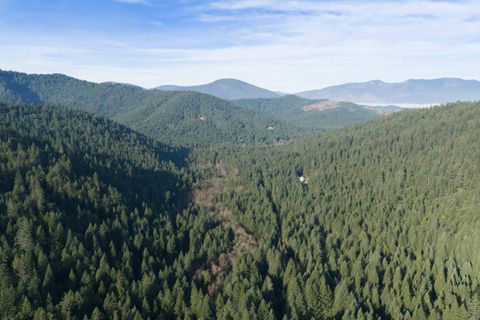 Tiny photo for 601 McMullen Creek Road, Selma, OR 97538 (MLS # 220212237)