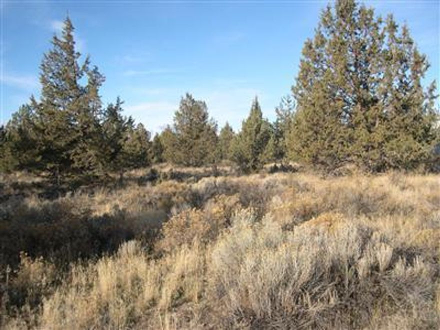 Grandfathered RV lot. Septic and water on the property. Good views, nice flat buildable lot located in a nice neighborhood. Lots of trees. Views from the back of the property.