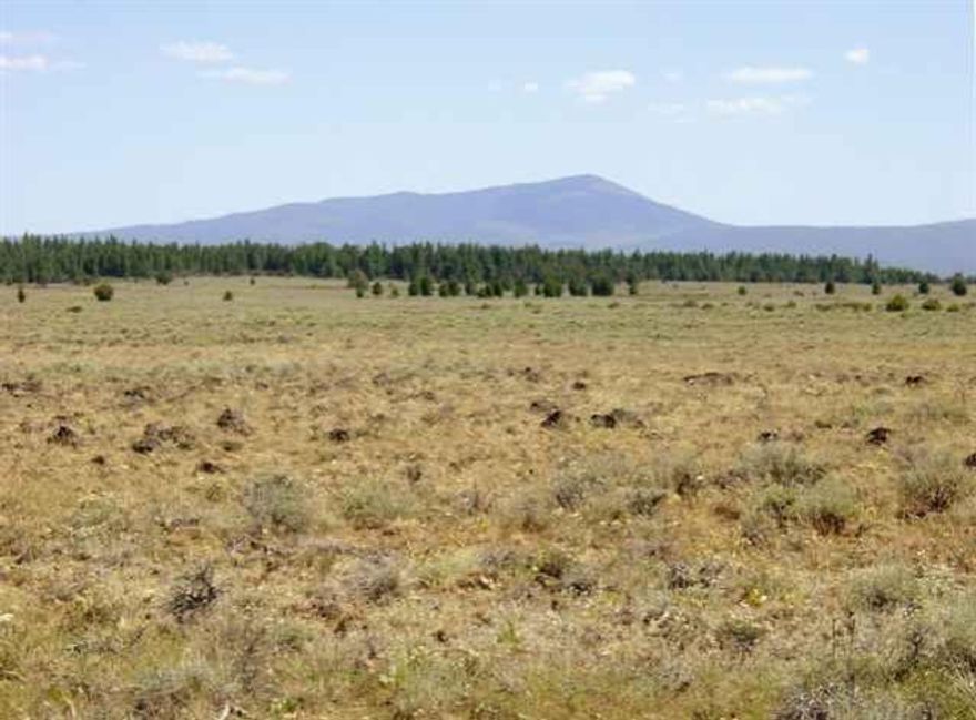 Level Rocky Ground Covered With Sage Bursh And Some Meadow Areas. View Of Mountain Peaks. Analope Are Often Seen In This Area. Potential For Small Light Plane Airstrip. Phone Line Along Oregon Pines Road. No Power.