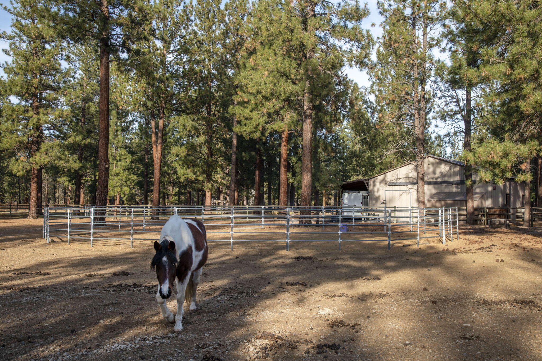 Indian Ford Meadows - Residential