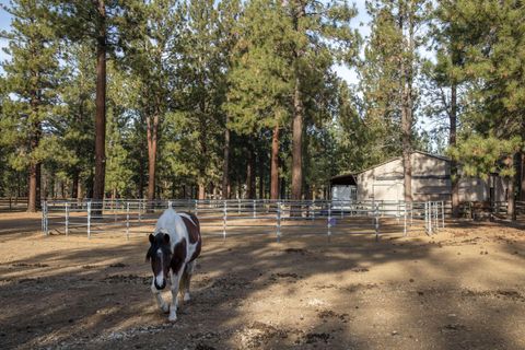 Tiny photo for 69219 Yellow Daisy Lane, Sisters, OR 97759 (MLS # 220213004)