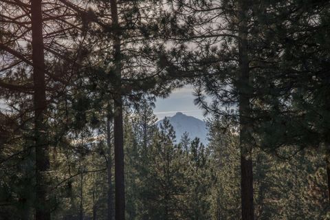 Tiny photo for 69219 Yellow Daisy Lane, Sisters, OR 97759 (MLS # 220213004)