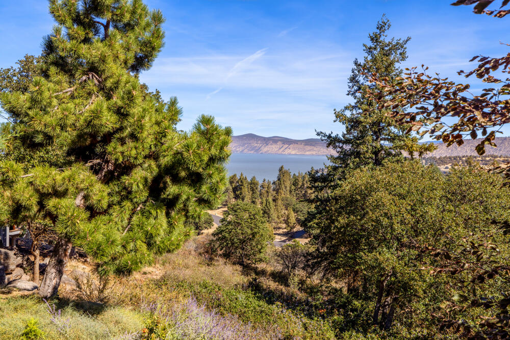 Running YResort - Residential