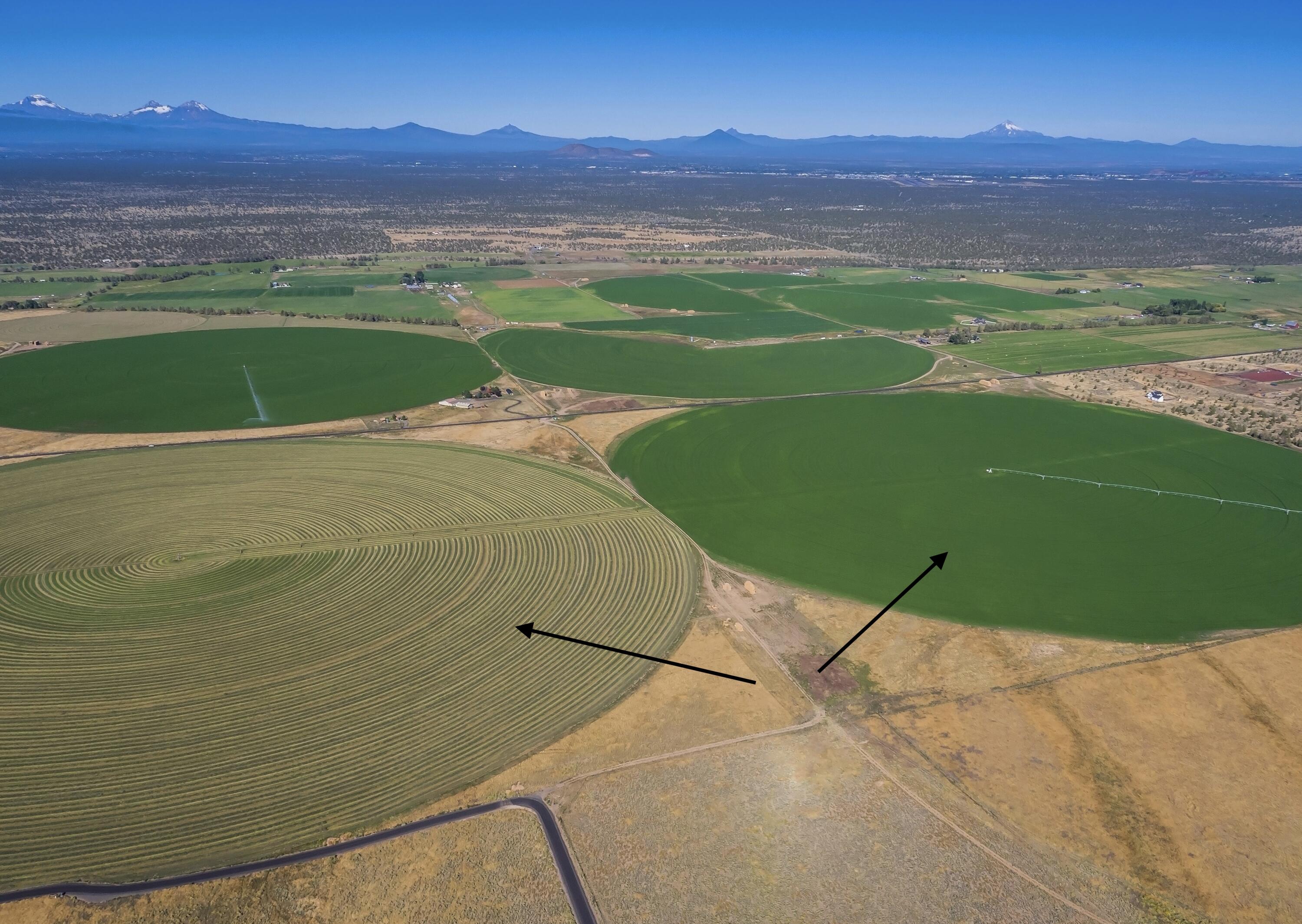 SW Shumway Road TL 504