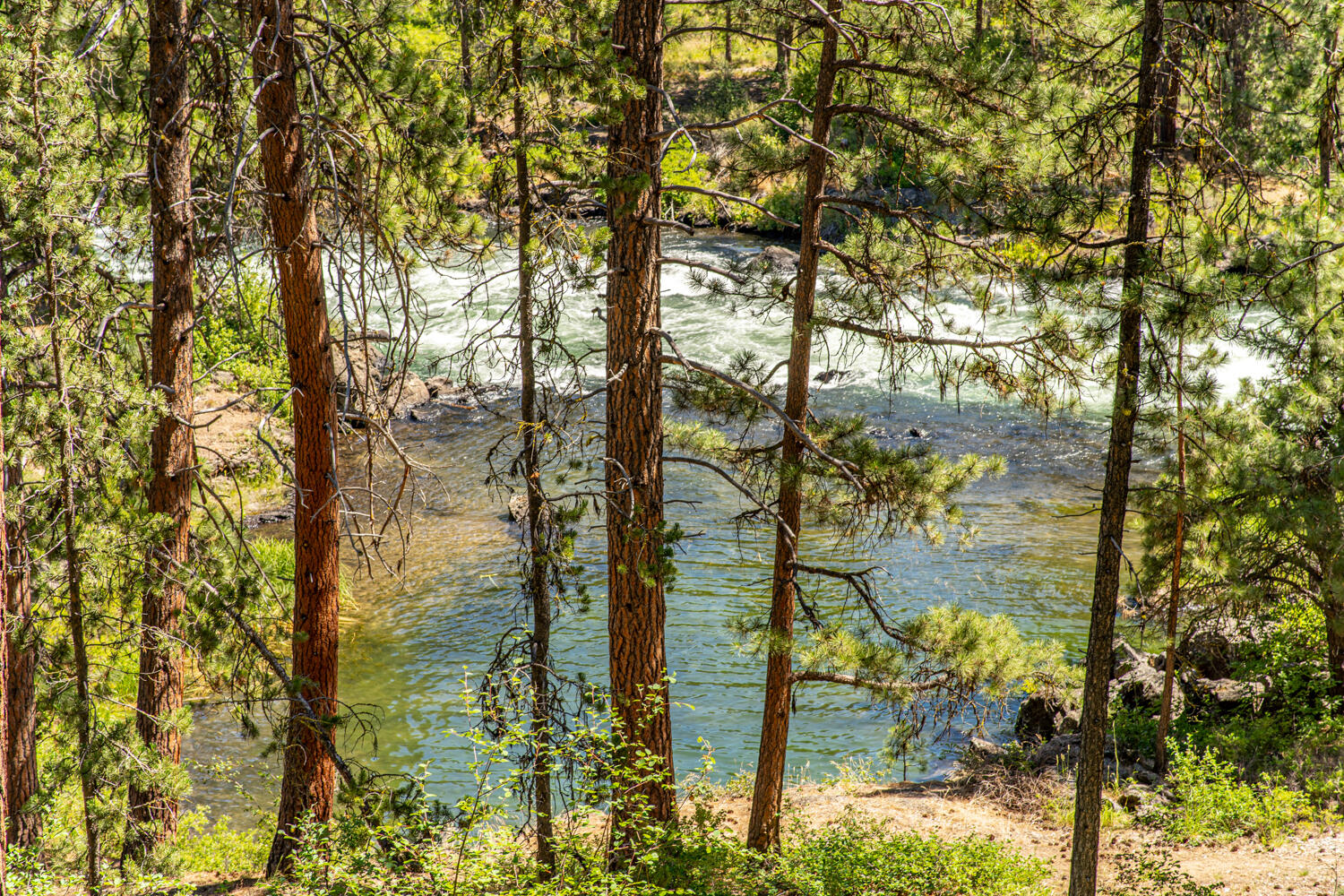 Wild River - Residential