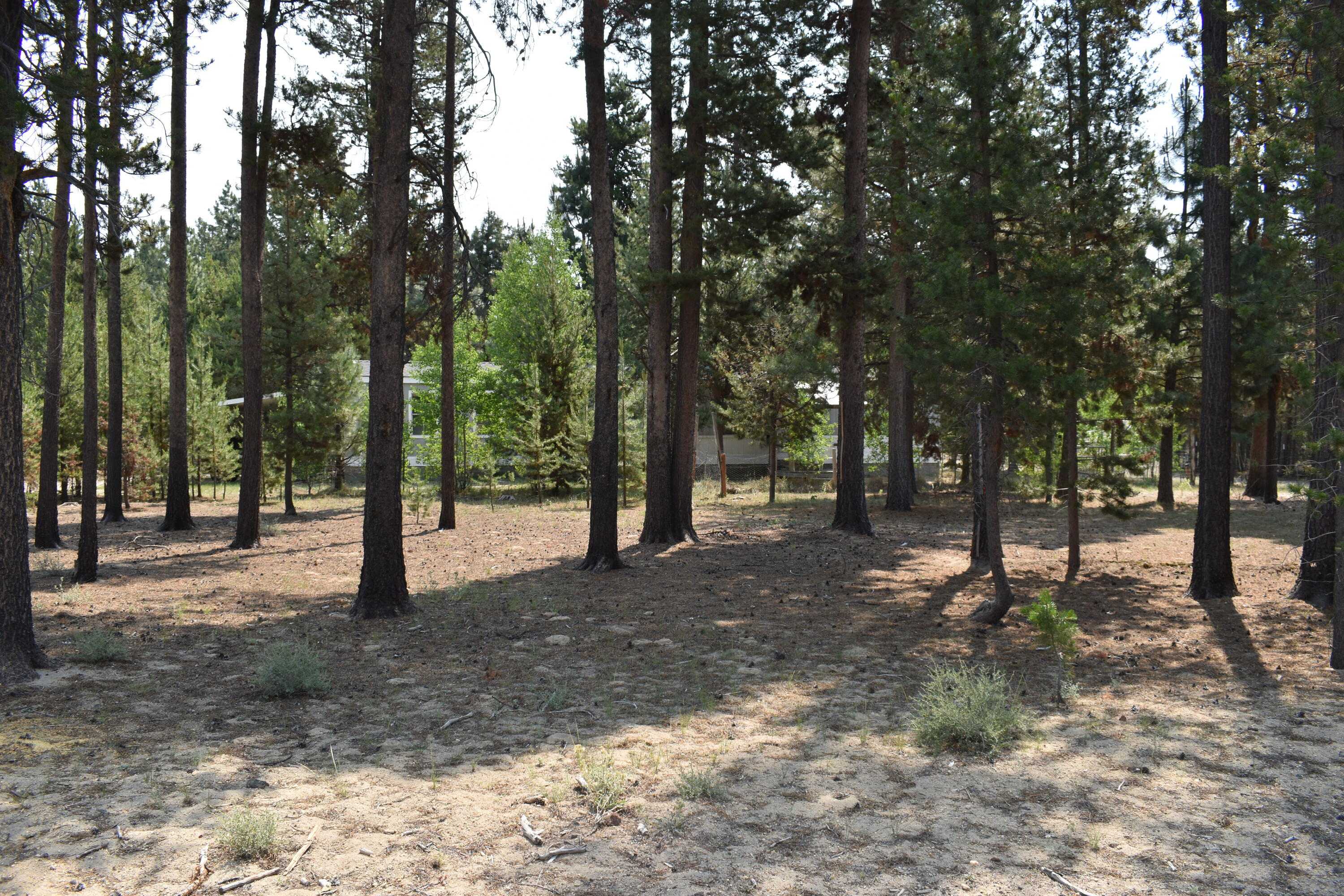 River Pine Estates - Residential