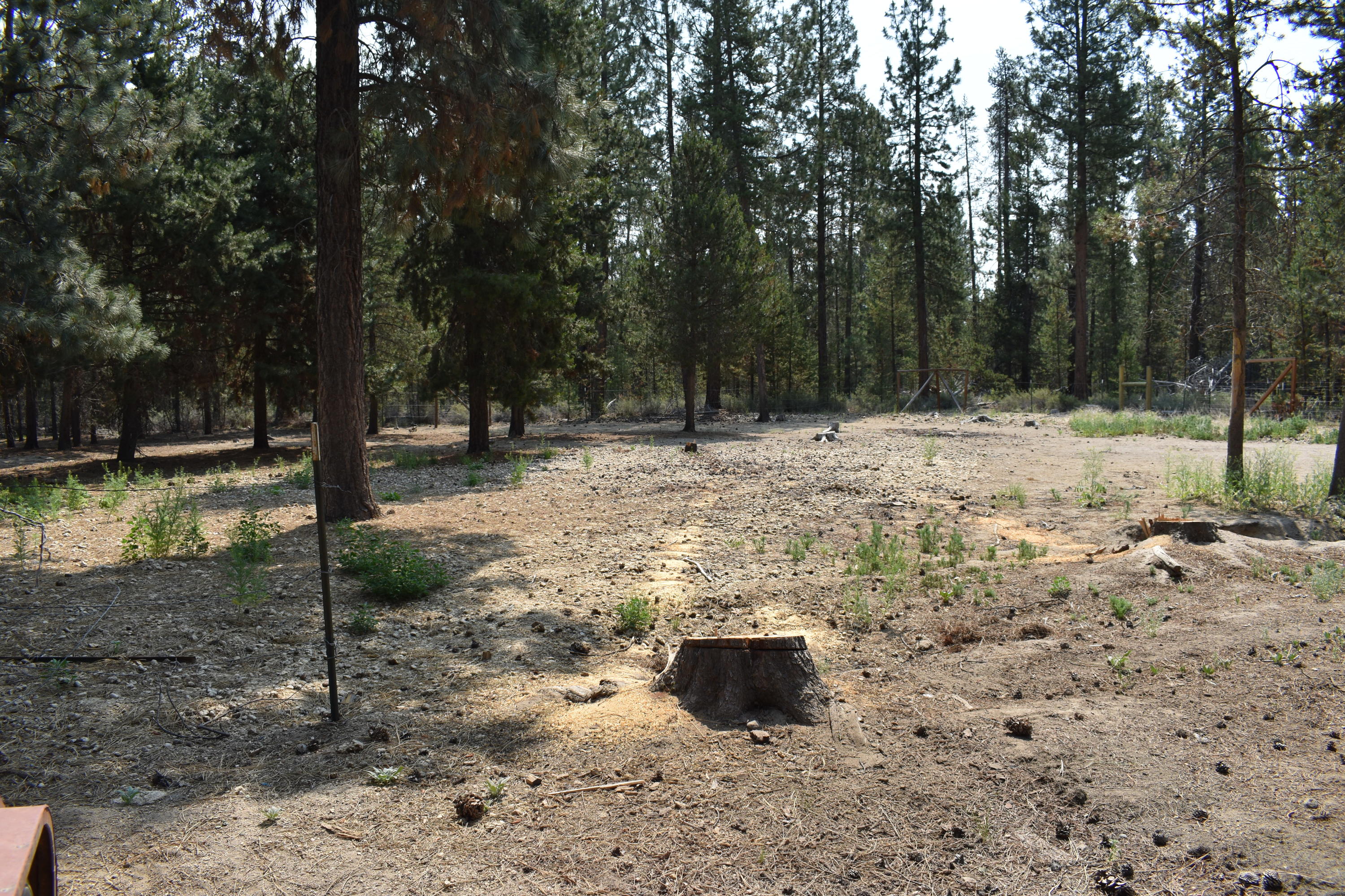 River Pine Estates - Residential