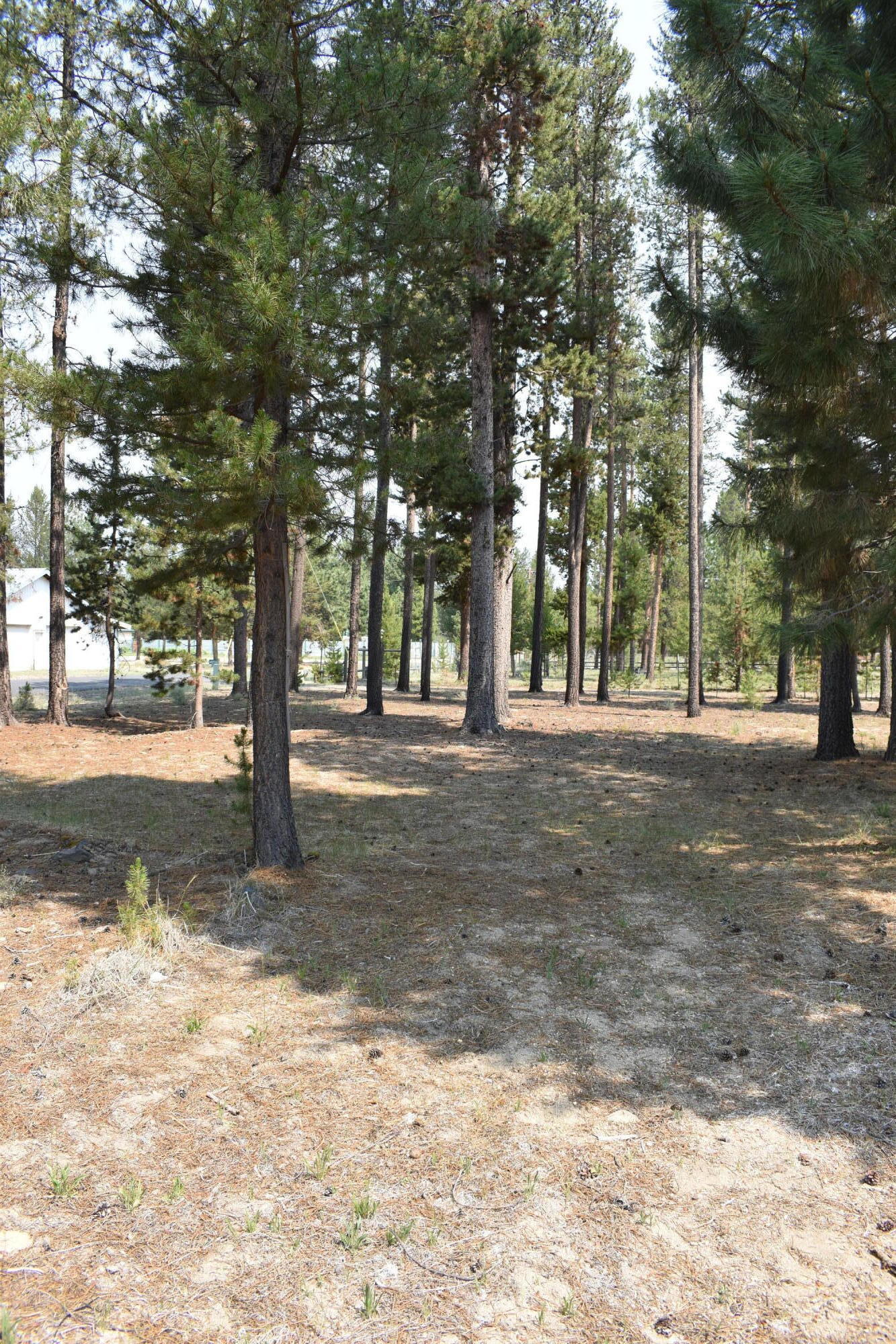 River Pine Estates - Residential