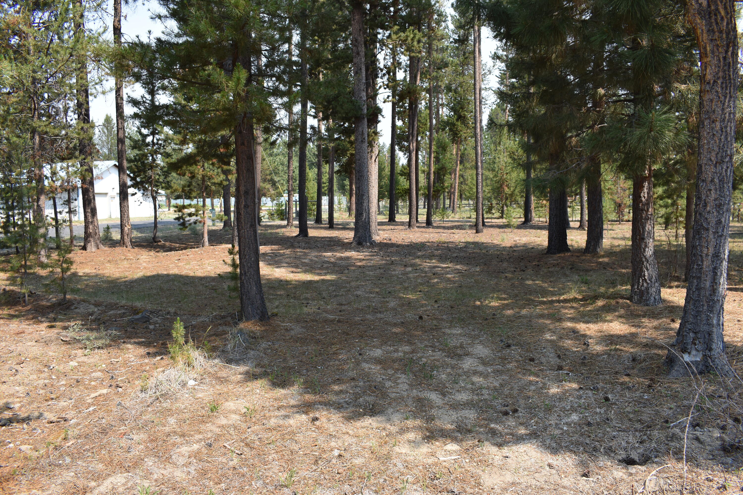 River Pine Estates - Residential