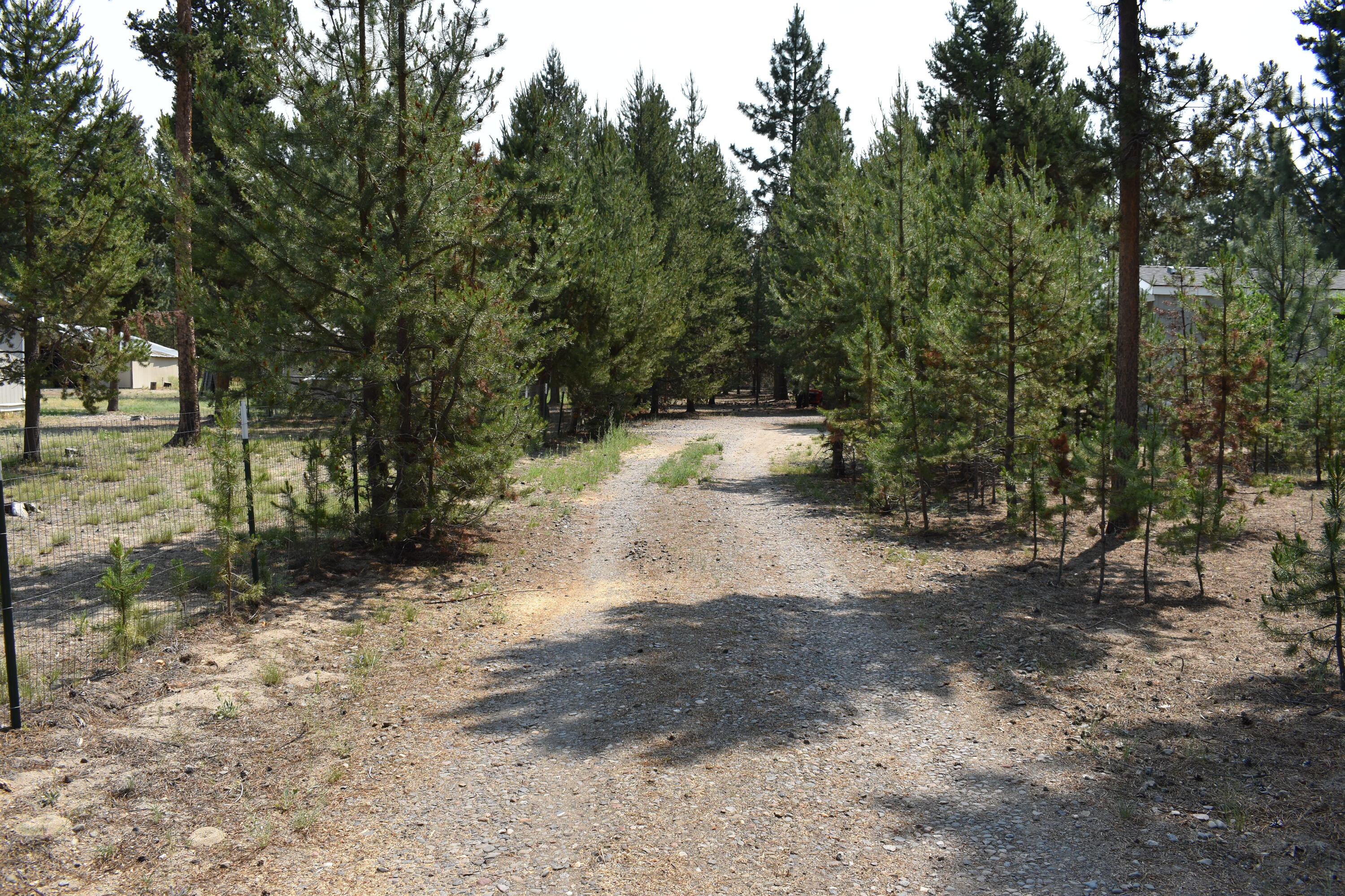 River Pine Estates - Residential