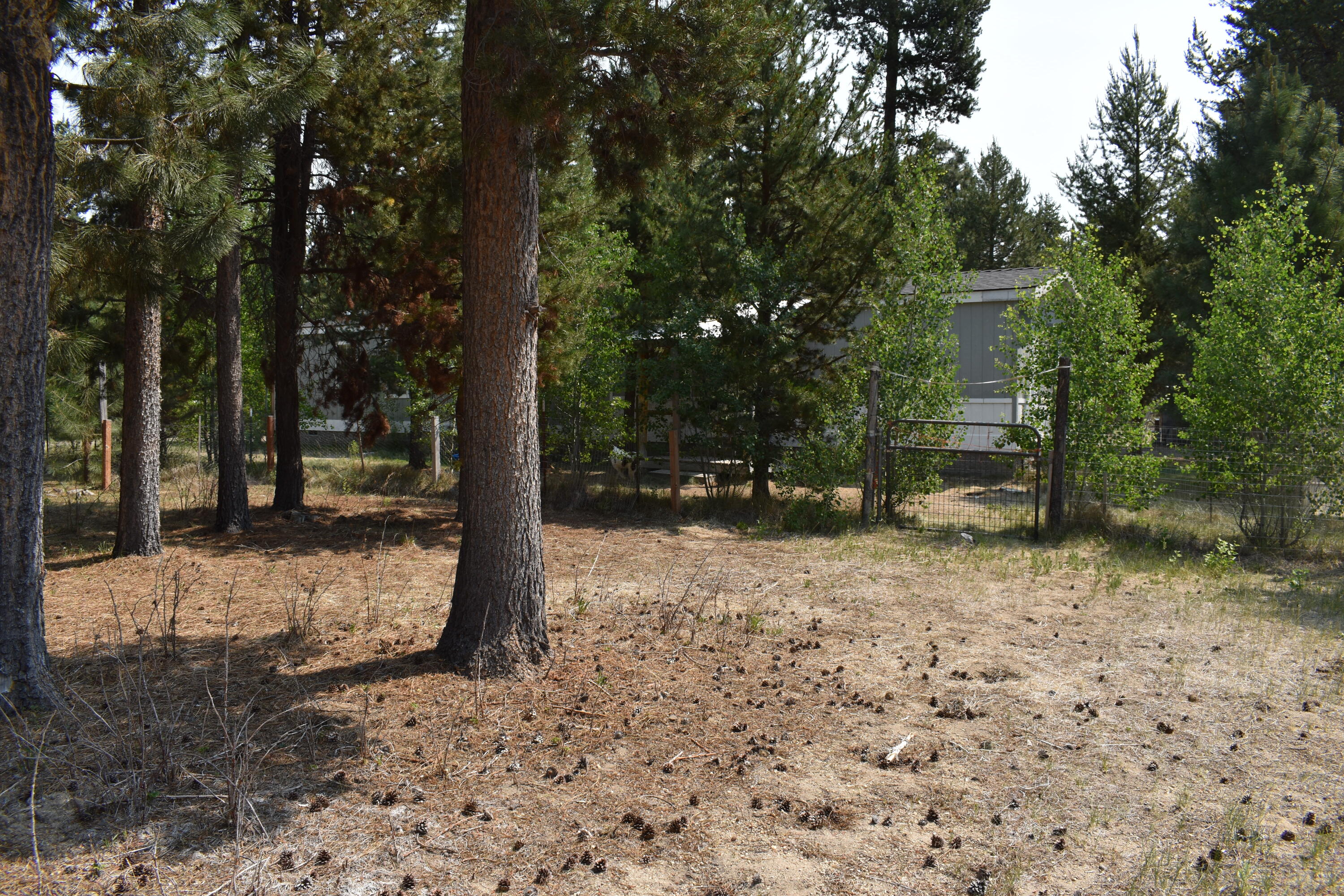 River Pine Estates - Residential