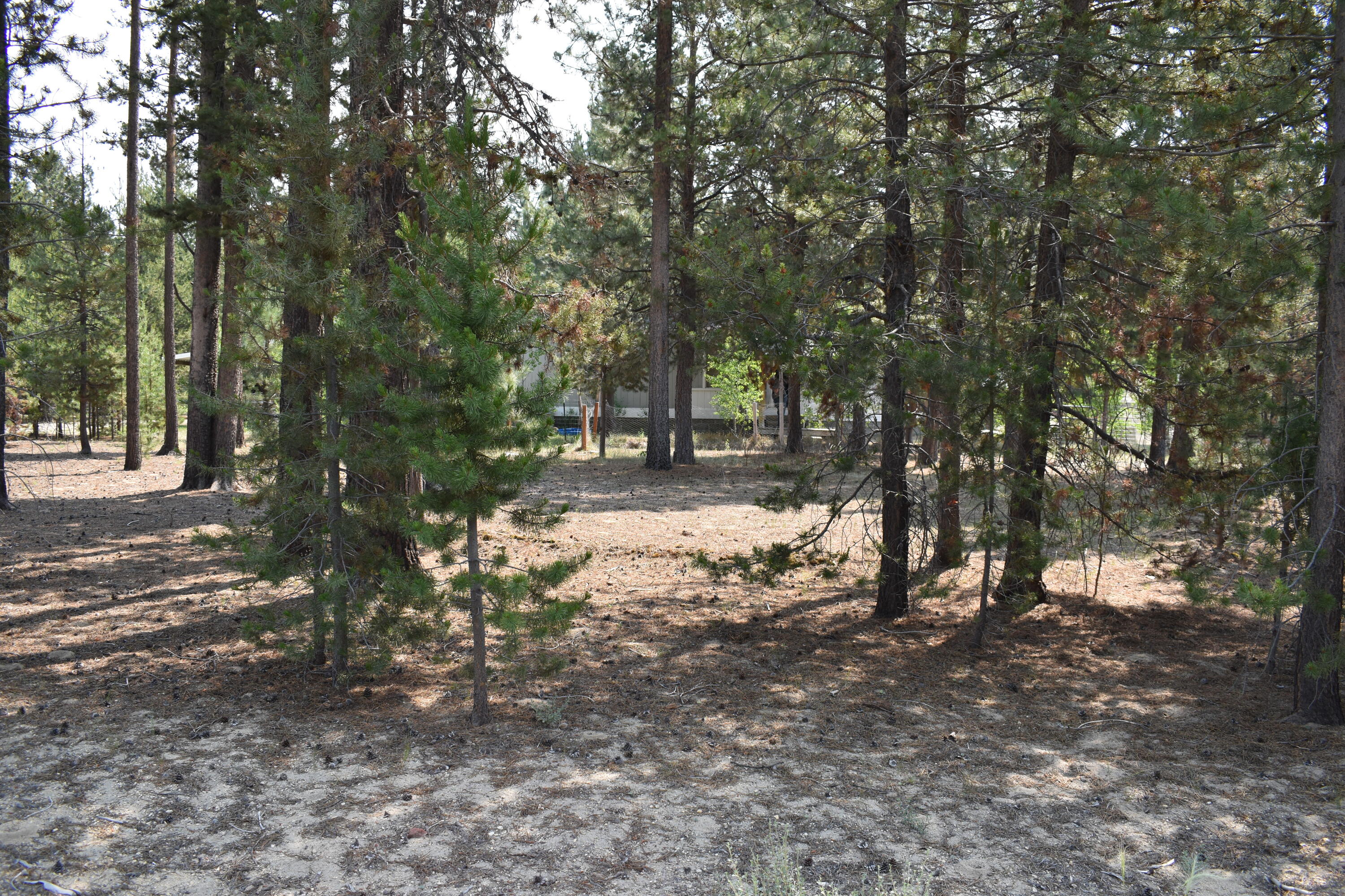 River Pine Estates - Residential