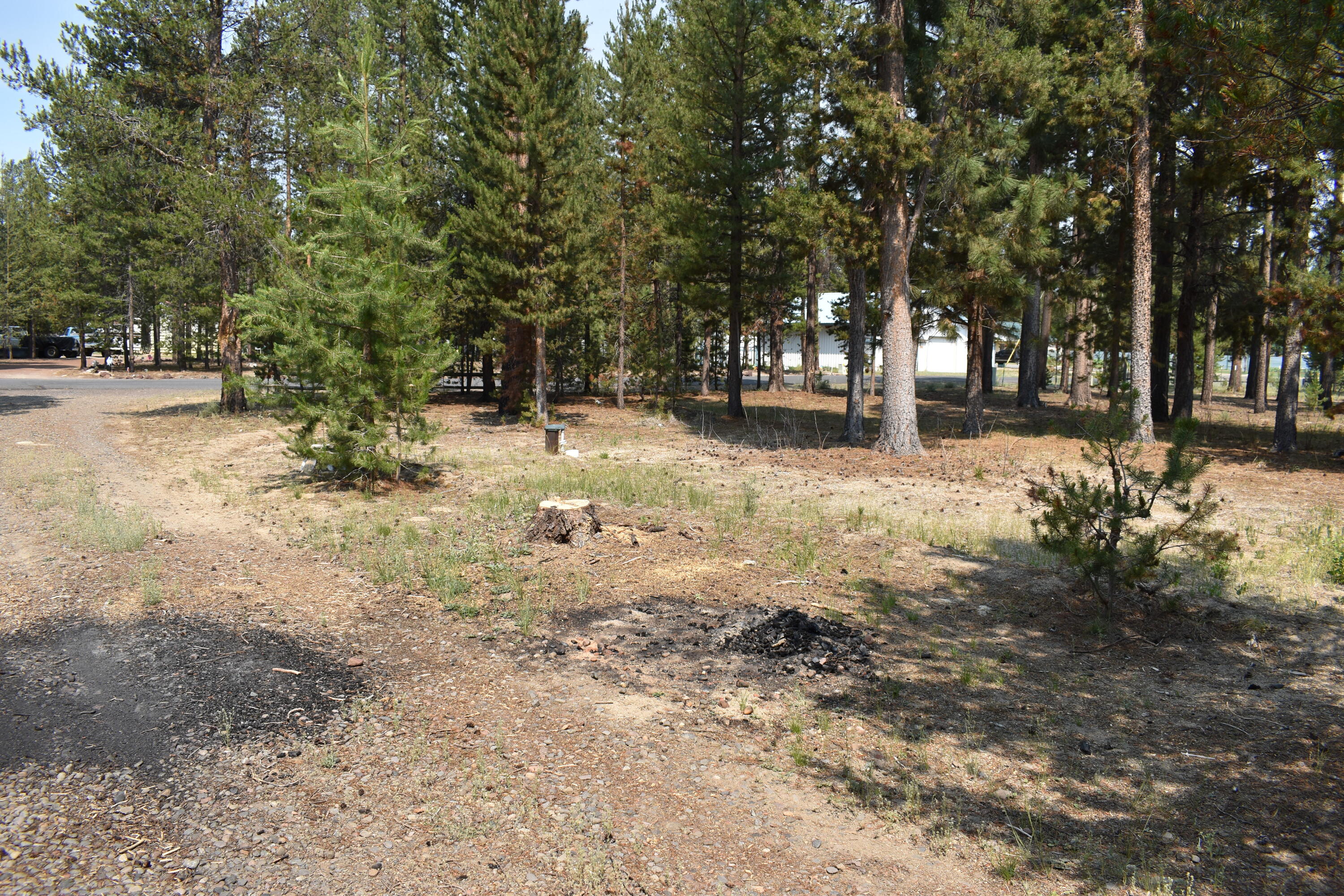 River Pine Estates - Residential