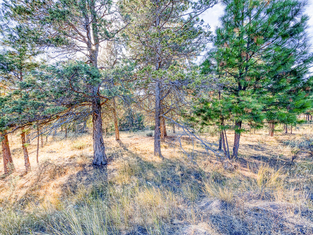 Ridgewater Subdivision -Phase 1 - Land