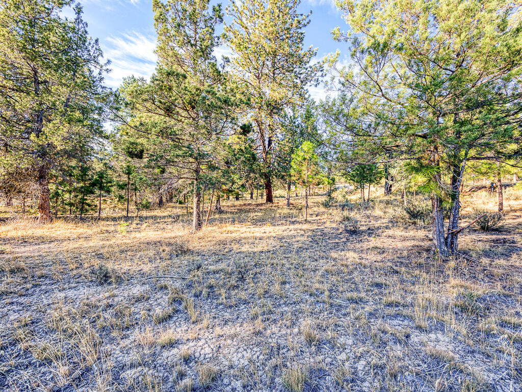 Ridgewater Subdivision -Phase 1 - Land