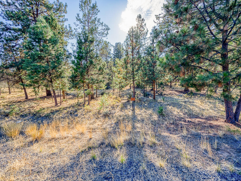 Ridgewater Subdivision -Phase 1 - Land