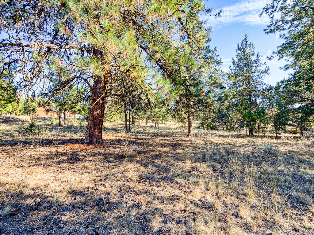 Ridgewater Subdivision -Phase 1 - Land