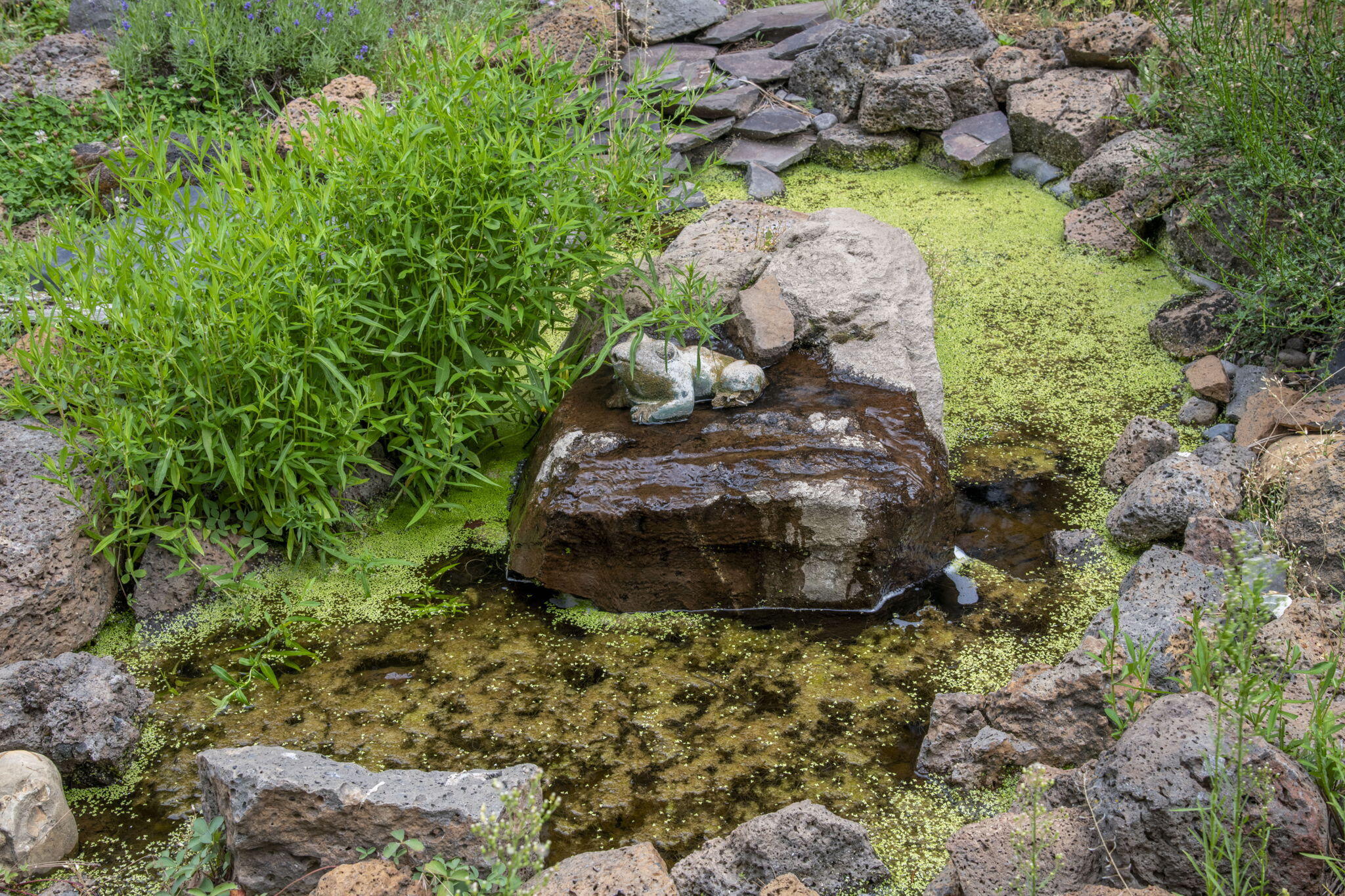 Deschutes RiverWoods - Residential