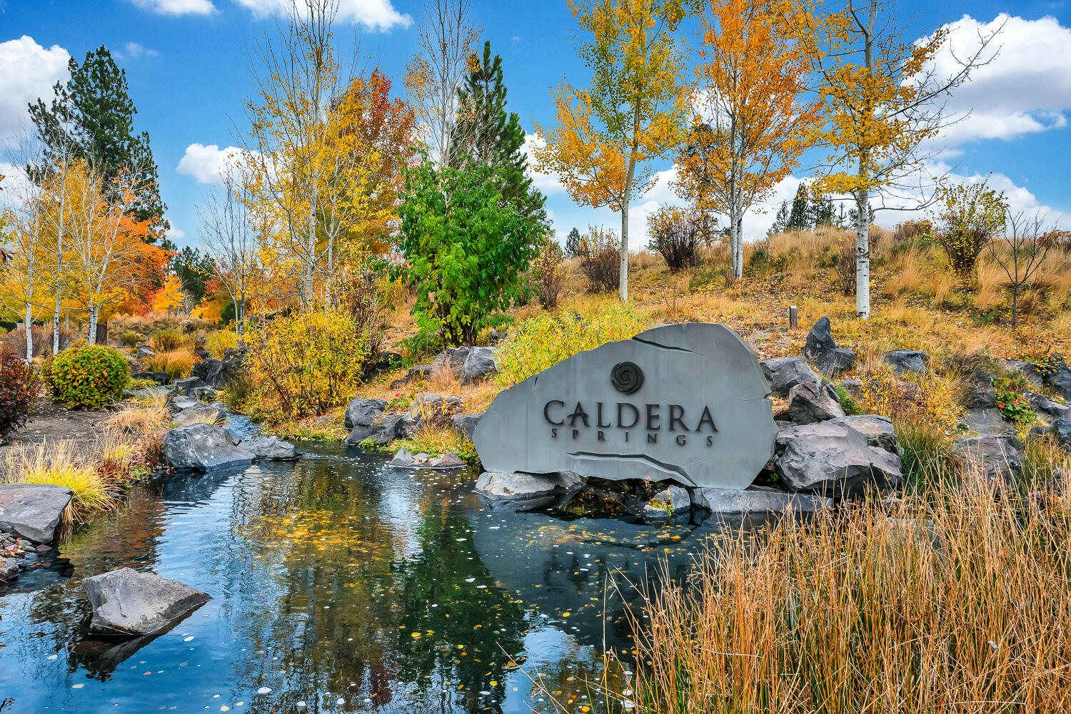 17719 Caldera Springs Drive 28