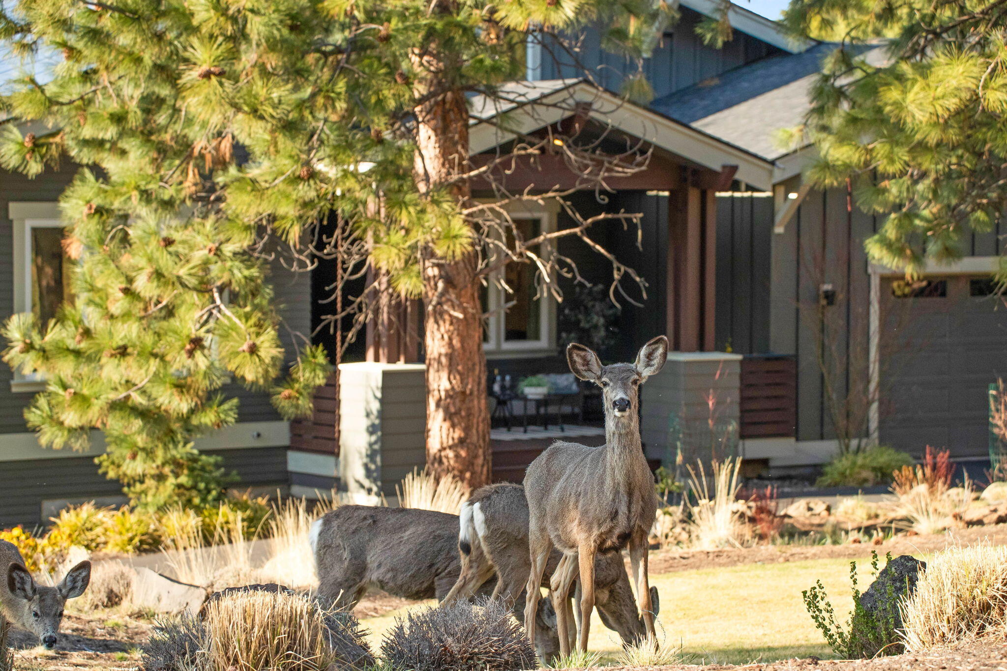 Awbrey Butte - Residential