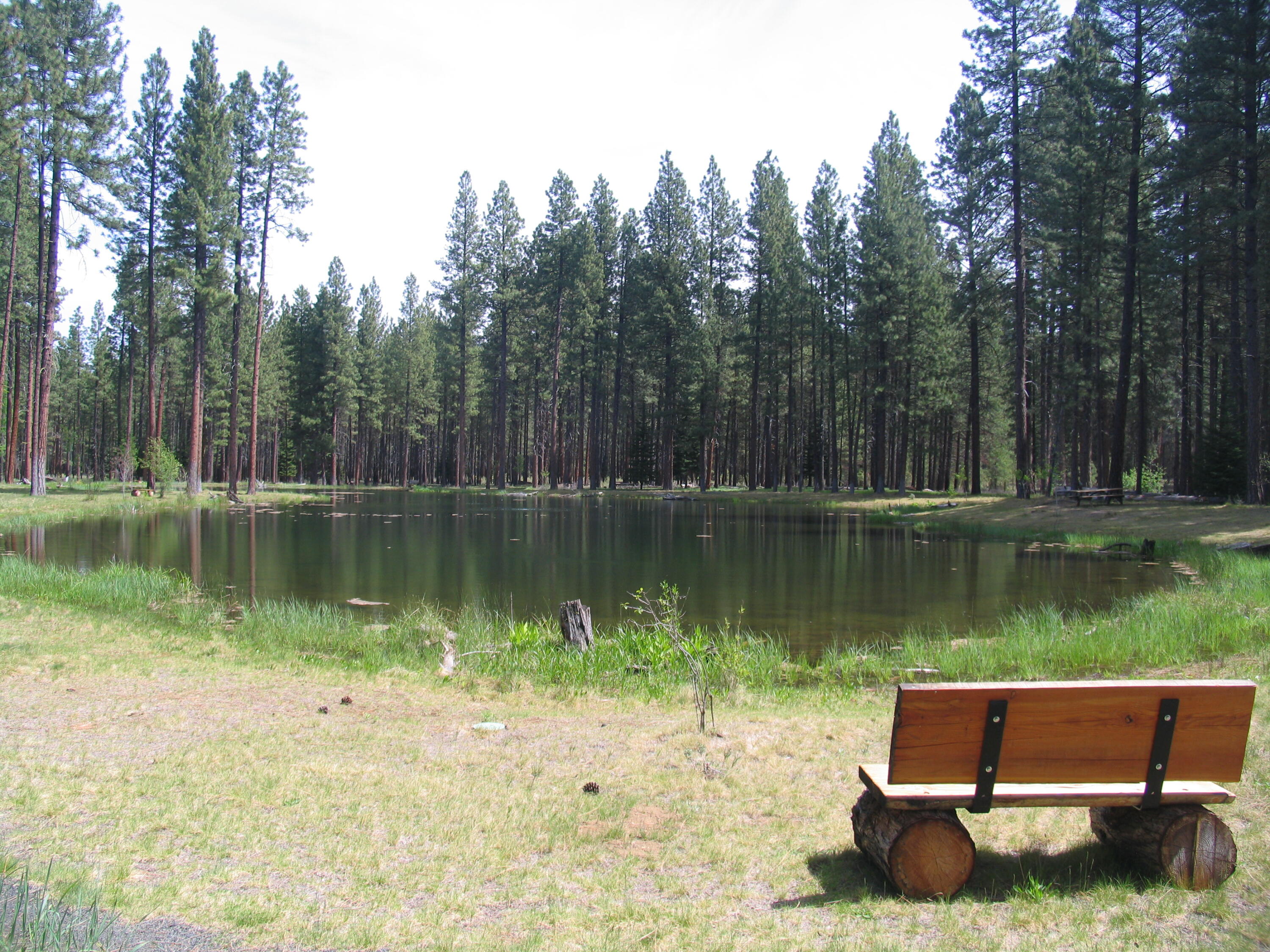 Lake Creek Lodge - Residential