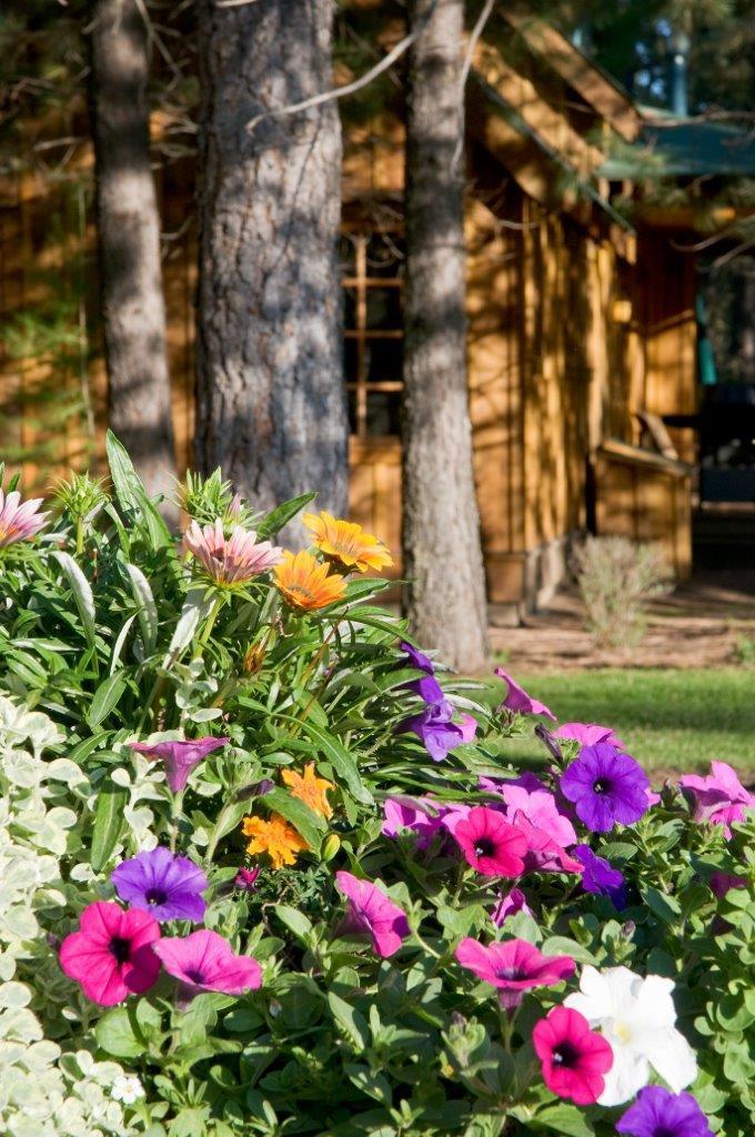 Lake Creek Lodge - Residential