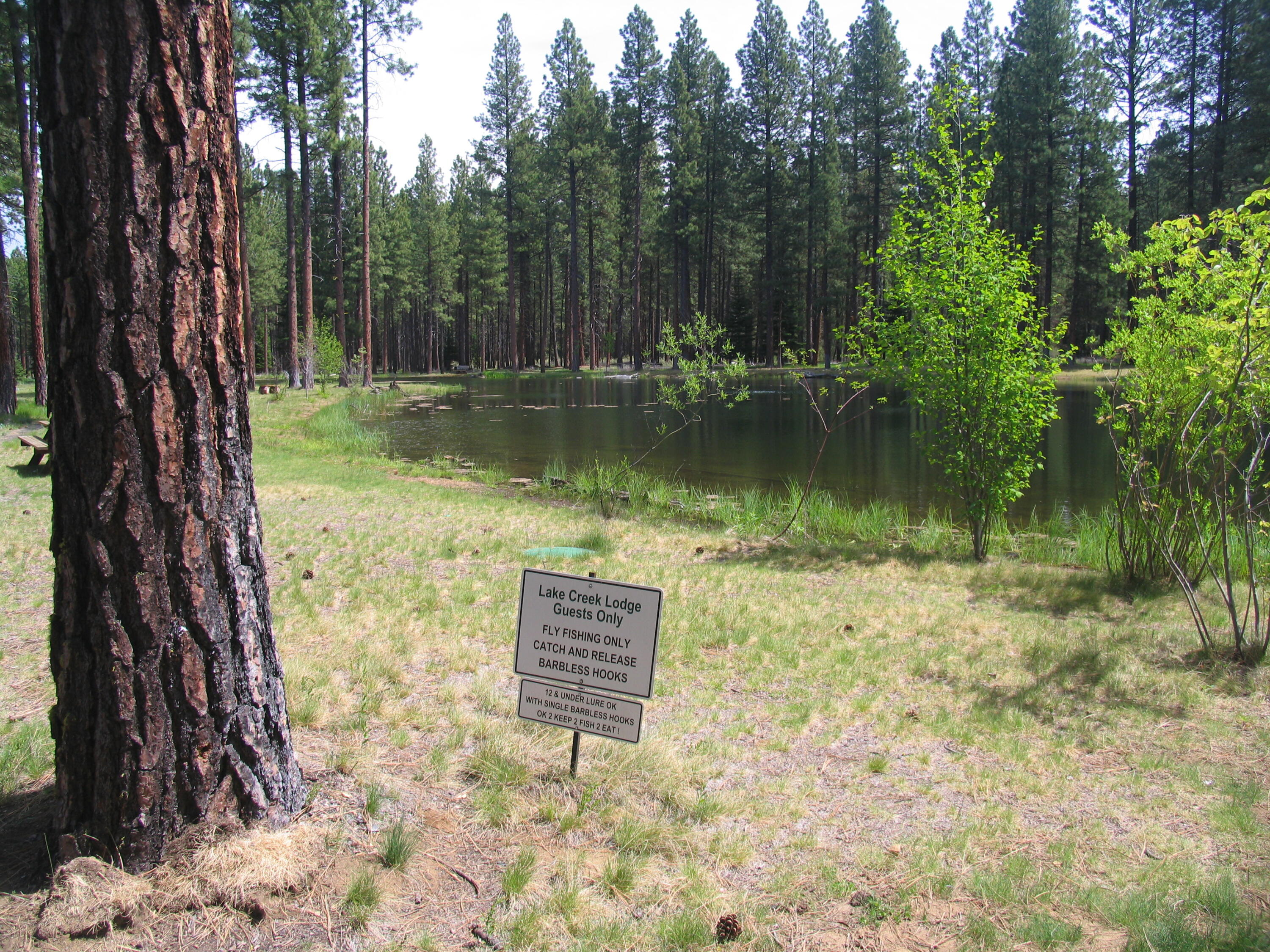 Lake Creek Lodge - Residential