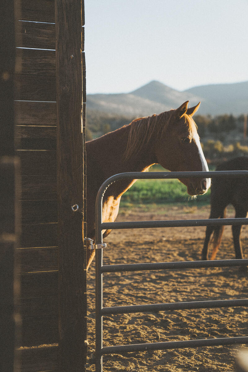 Brasada Ranch - Land